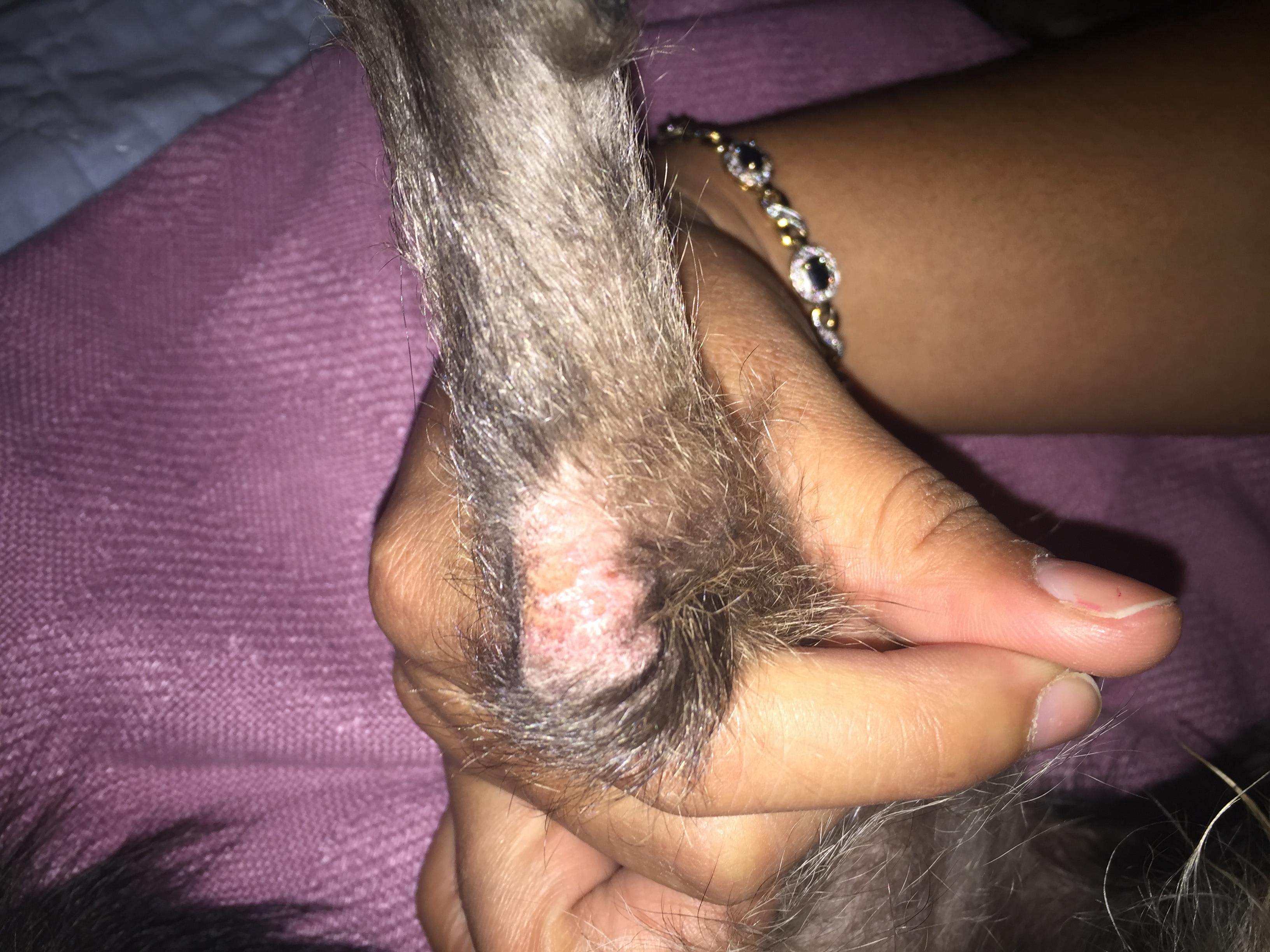 Question details sensitive content