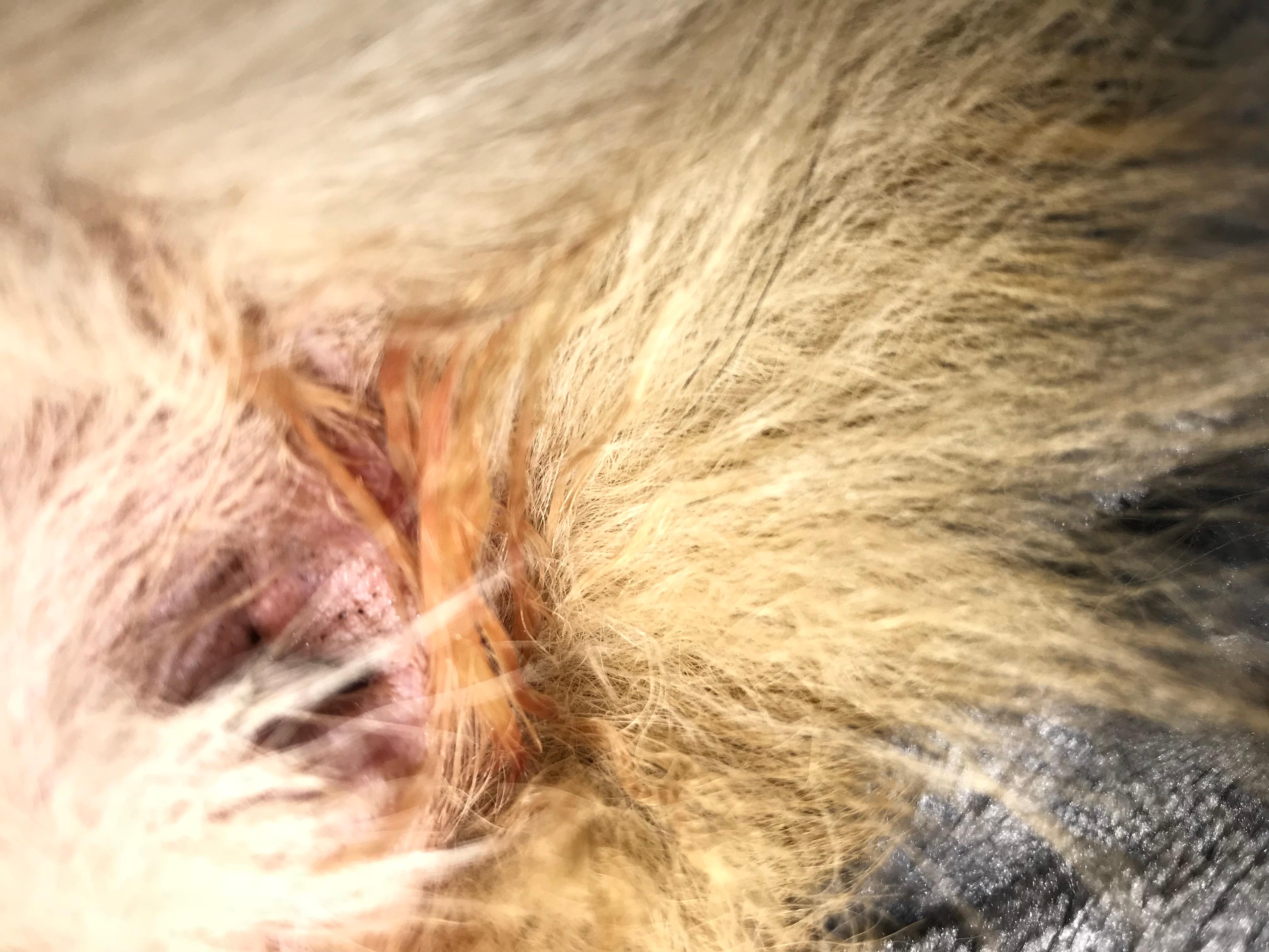 Question details sensitive content