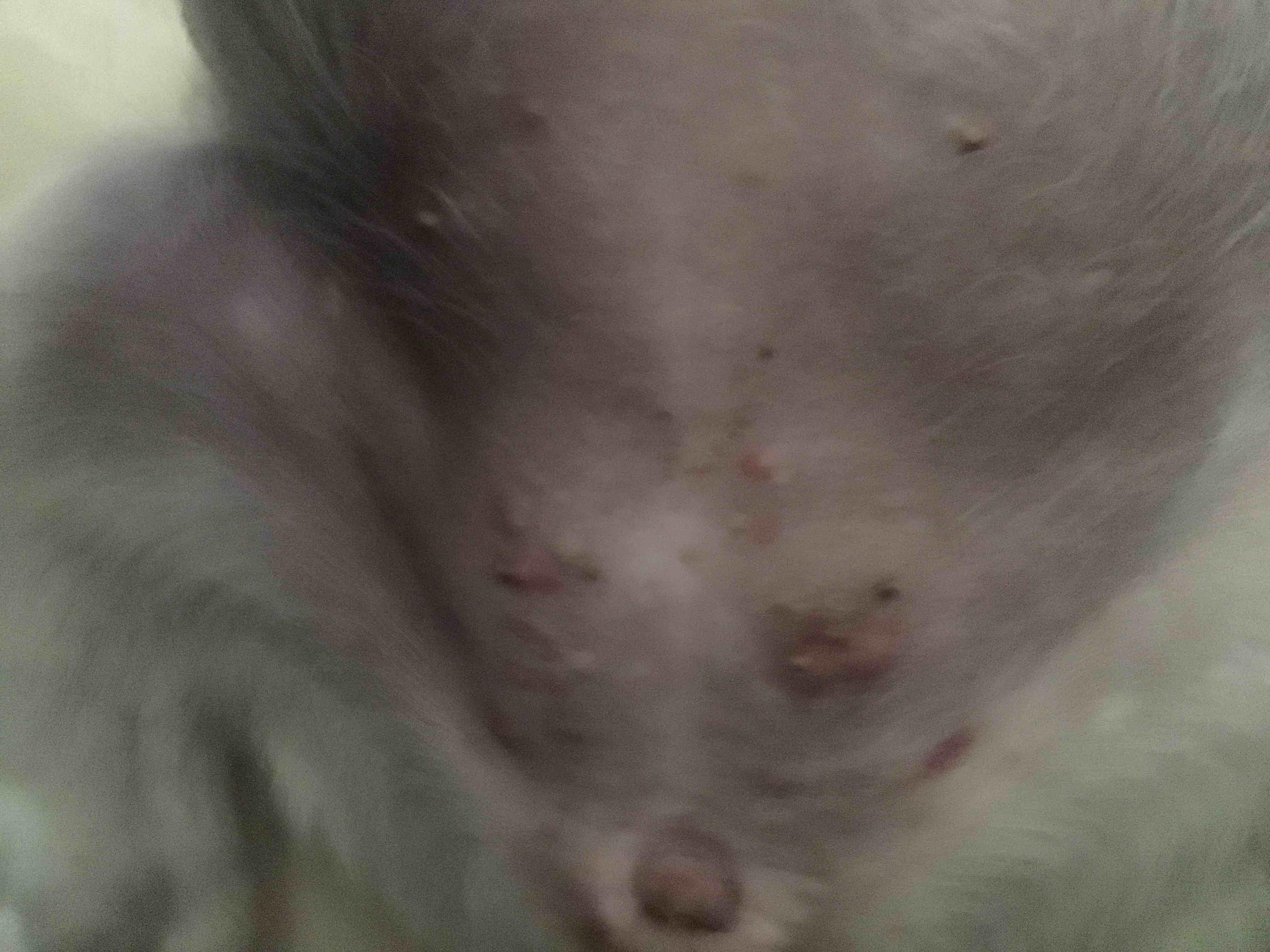 Question details sensitive content