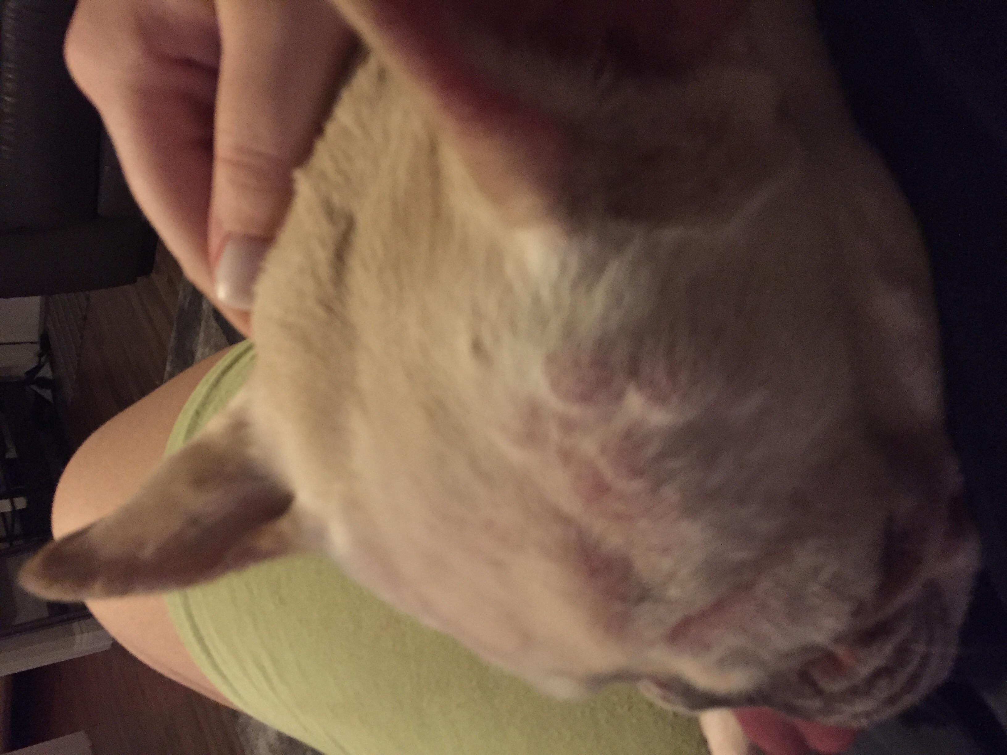 Question details sensitive content