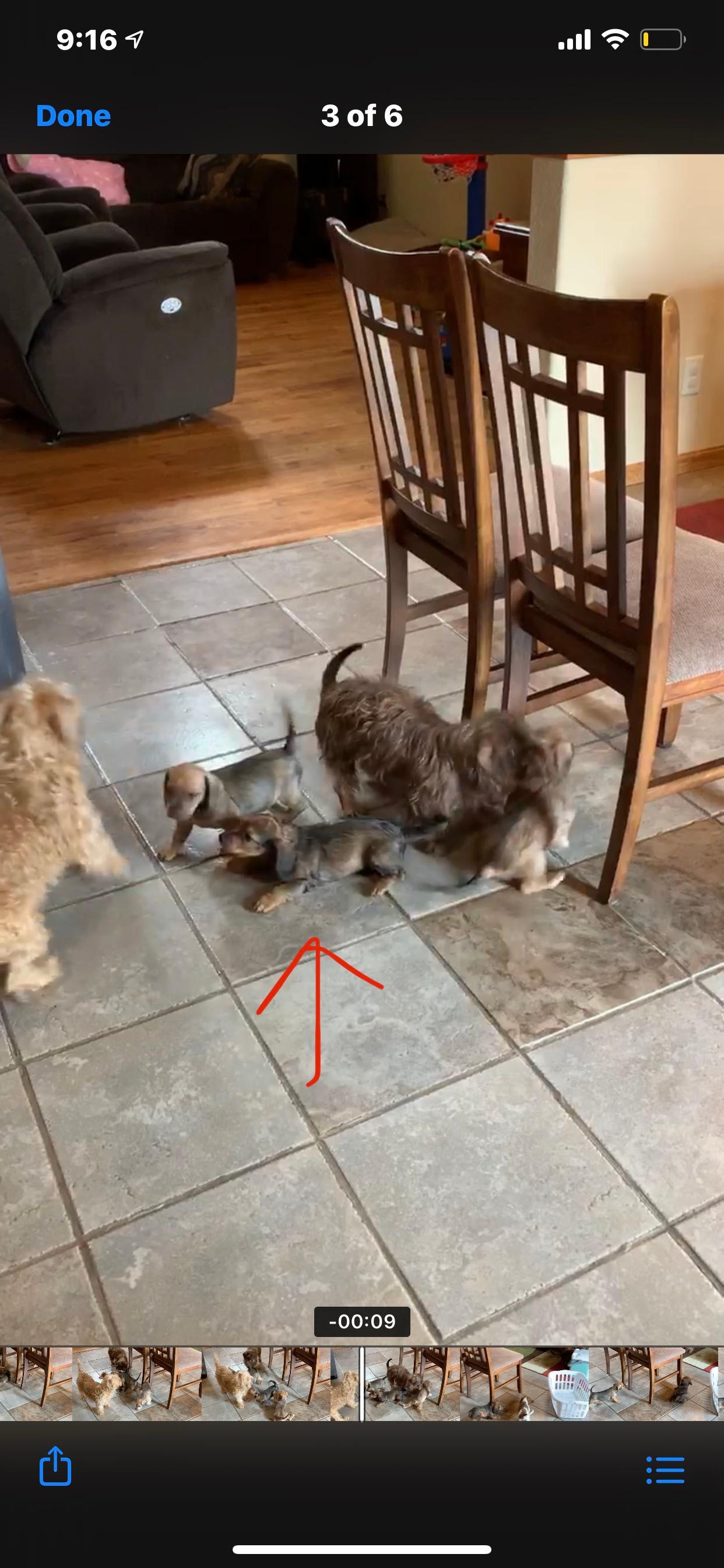 Question details sensitive content