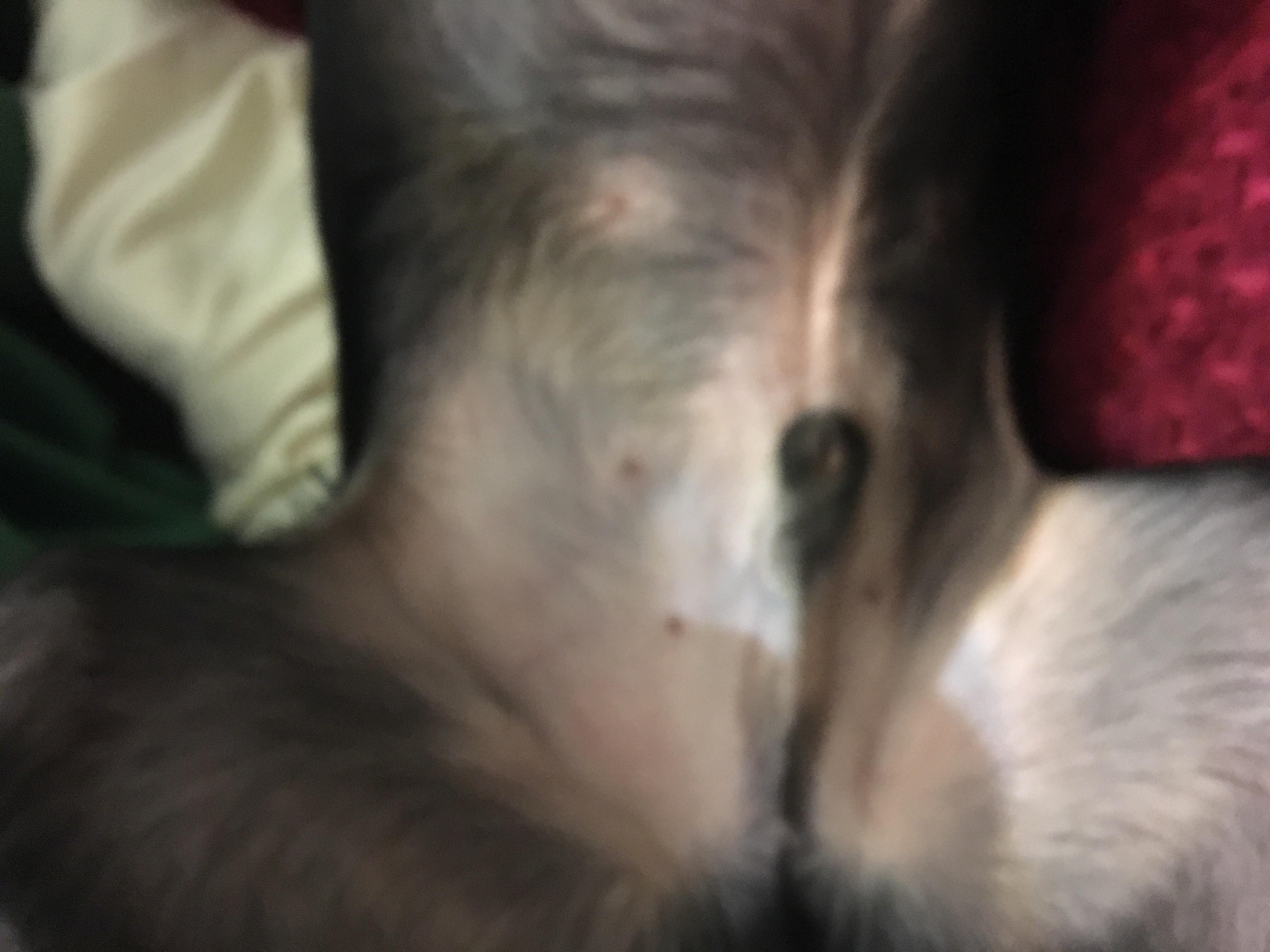 Question details sensitive content