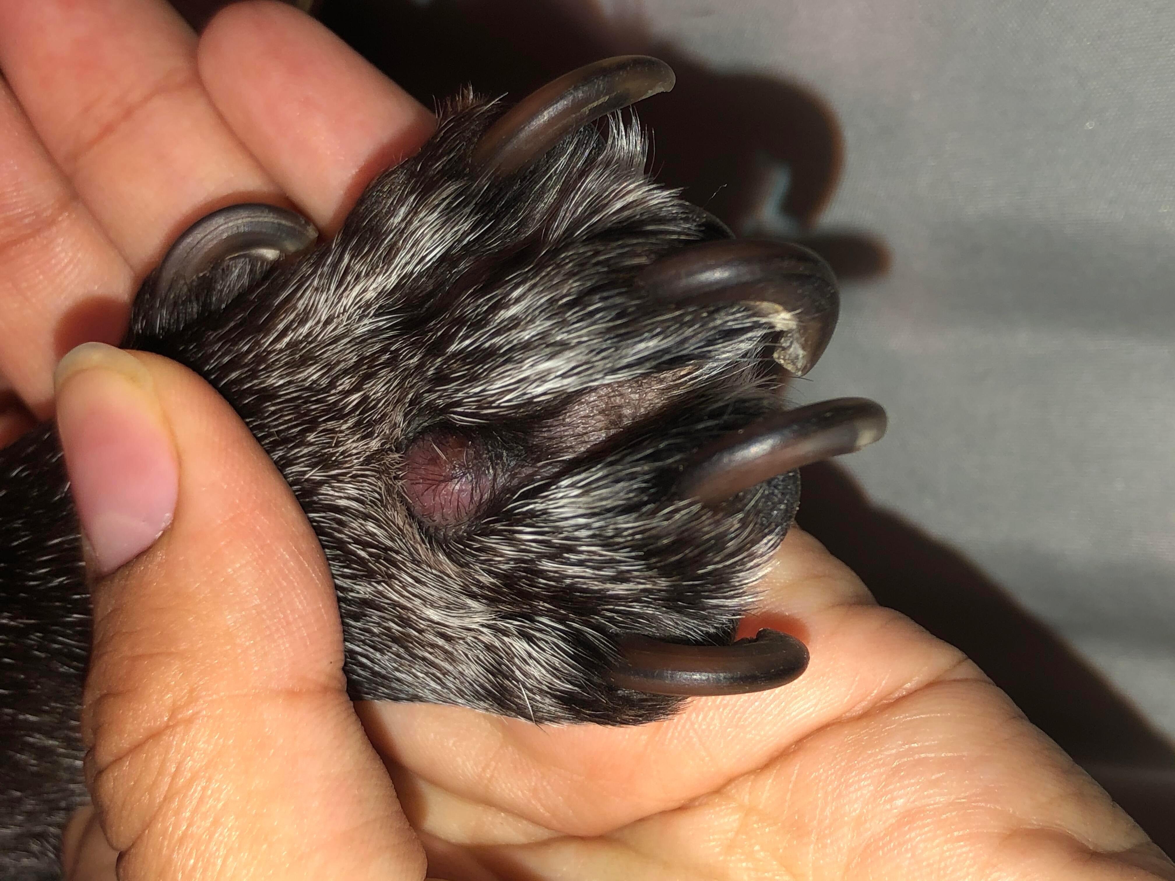 Question details sensitive content