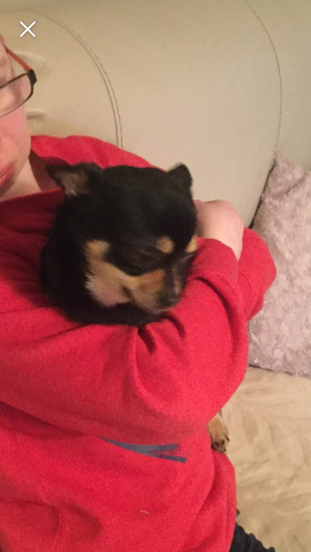 Question details sensitive content