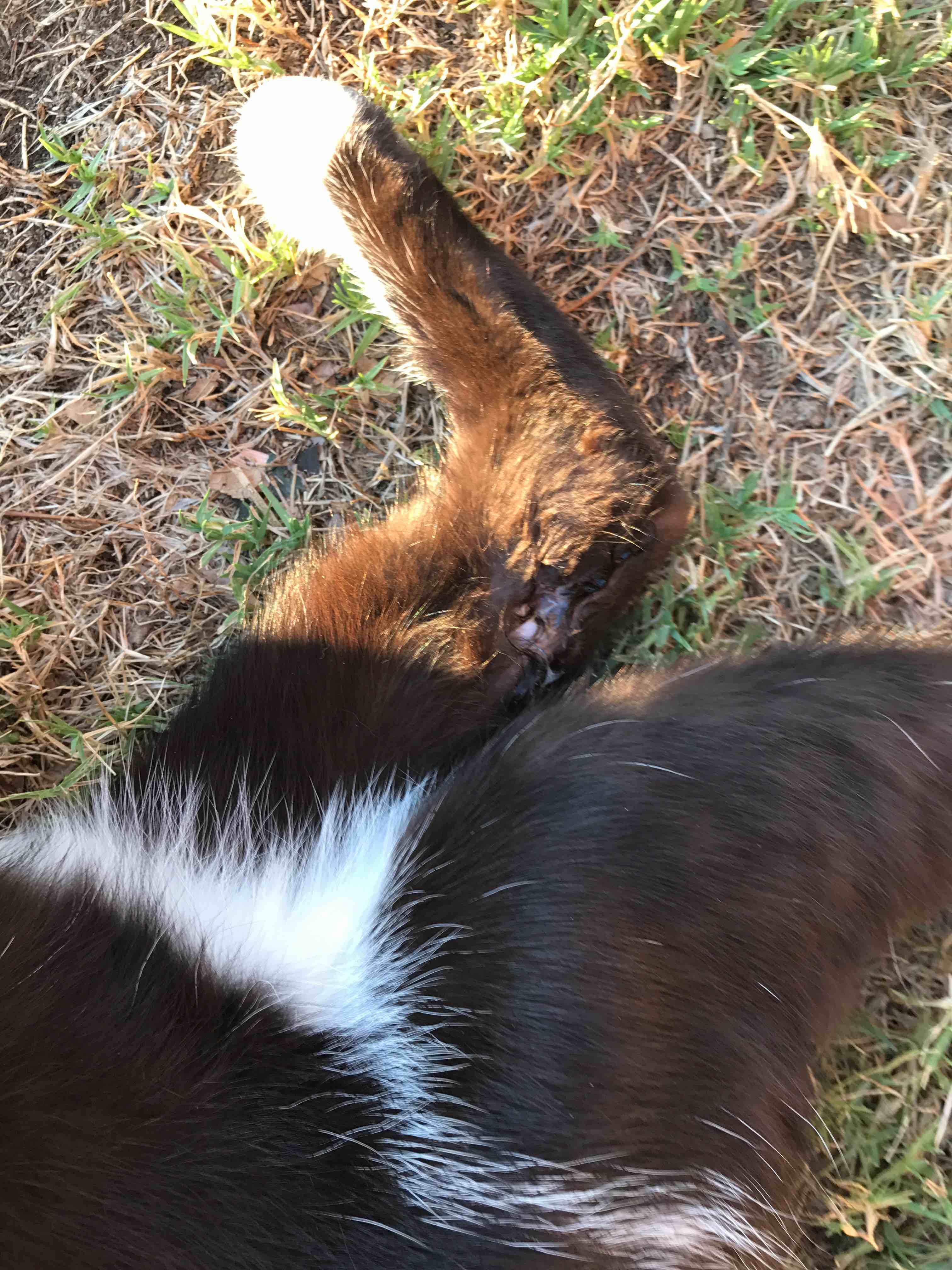 Question details sensitive content