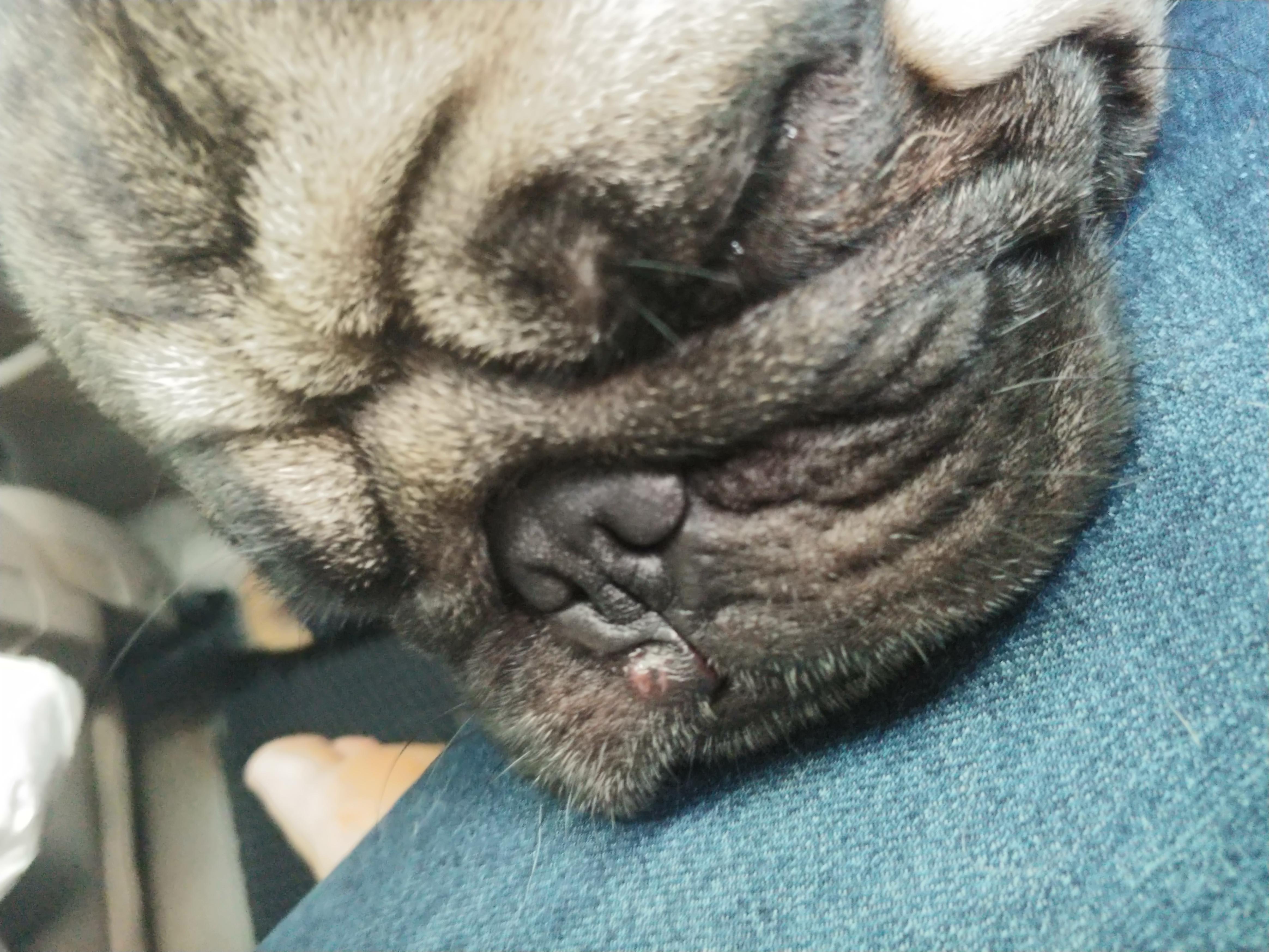 Question details sensitive content