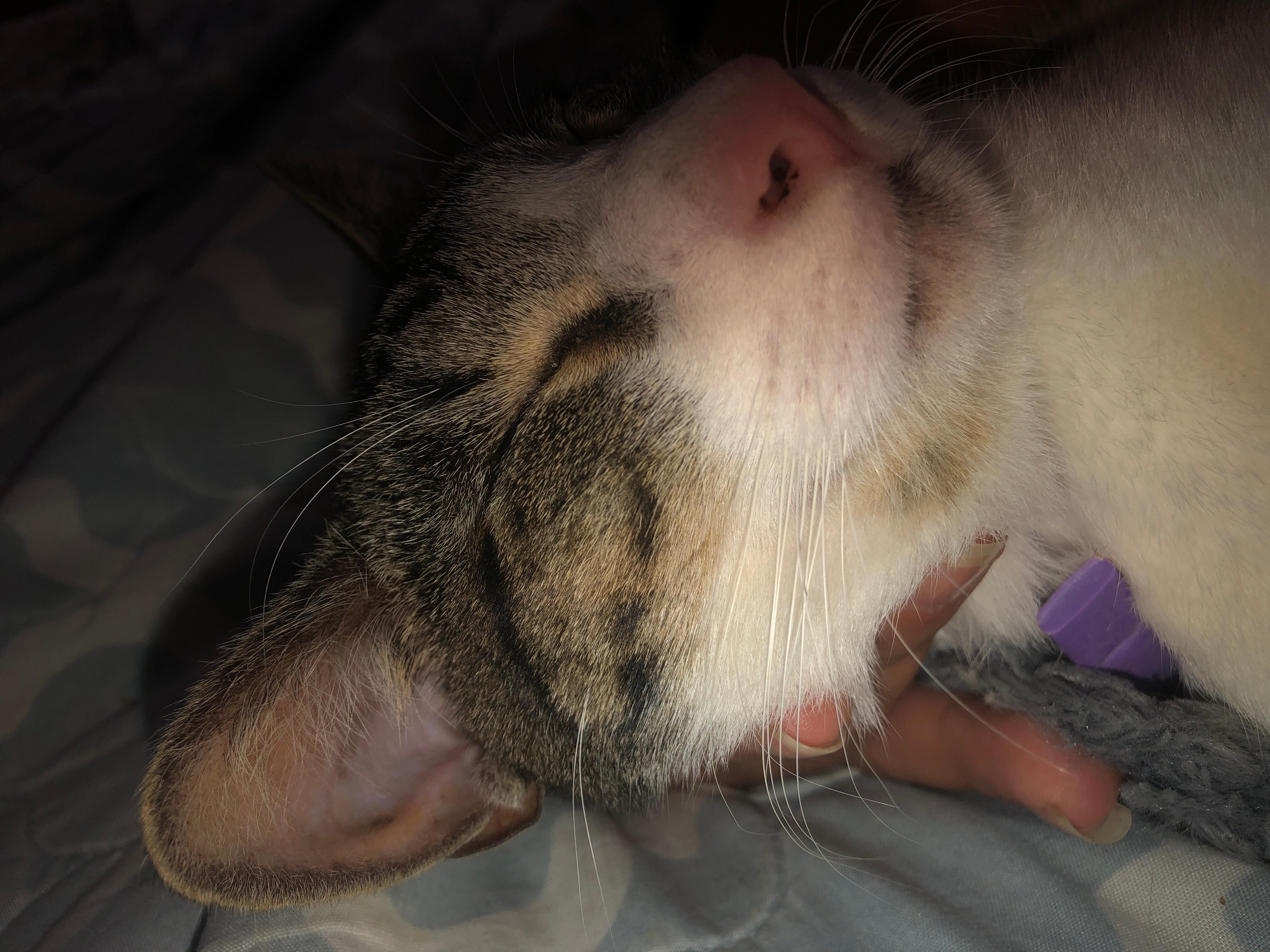 Question details sensitive content