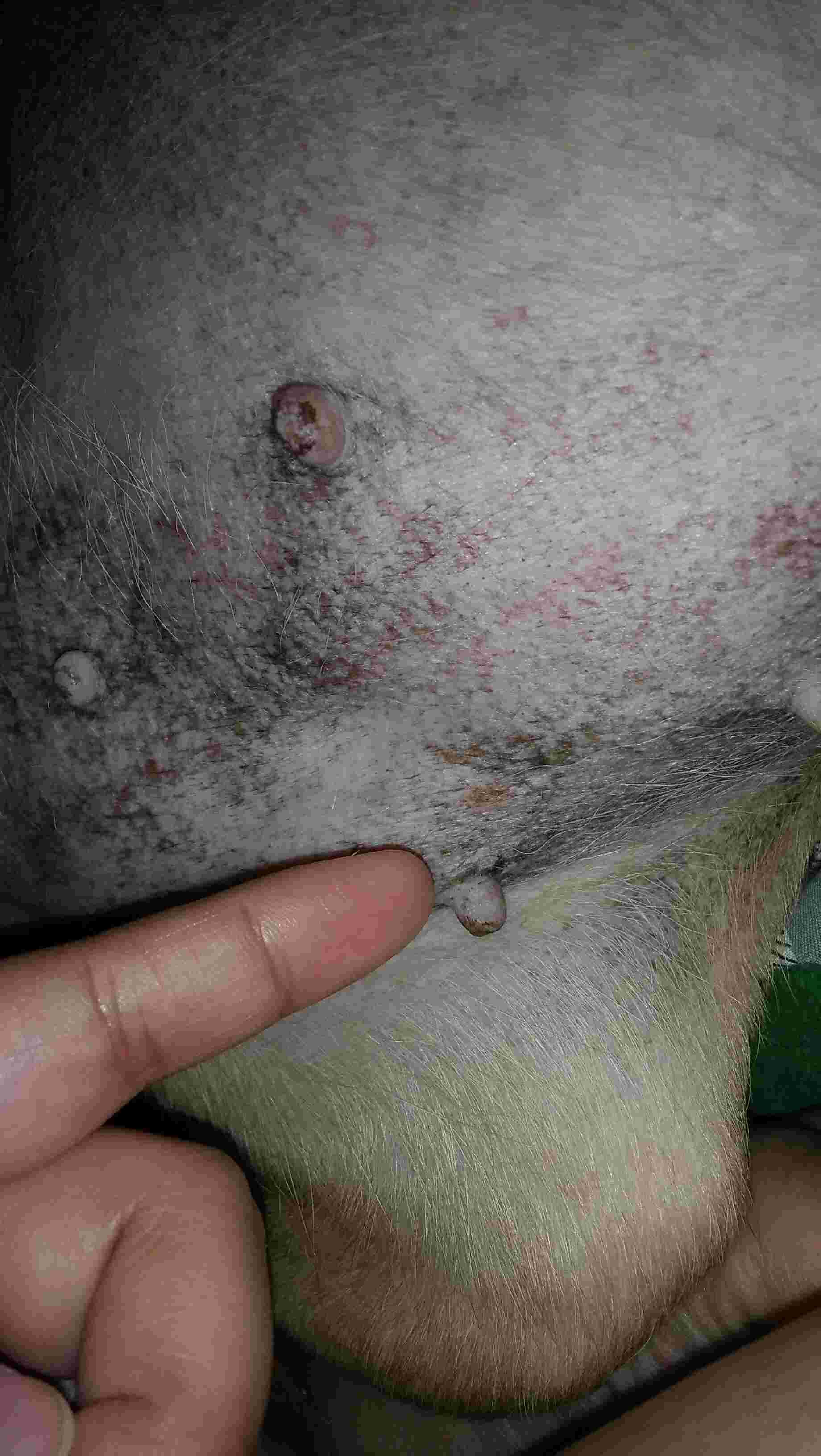 Question details sensitive content