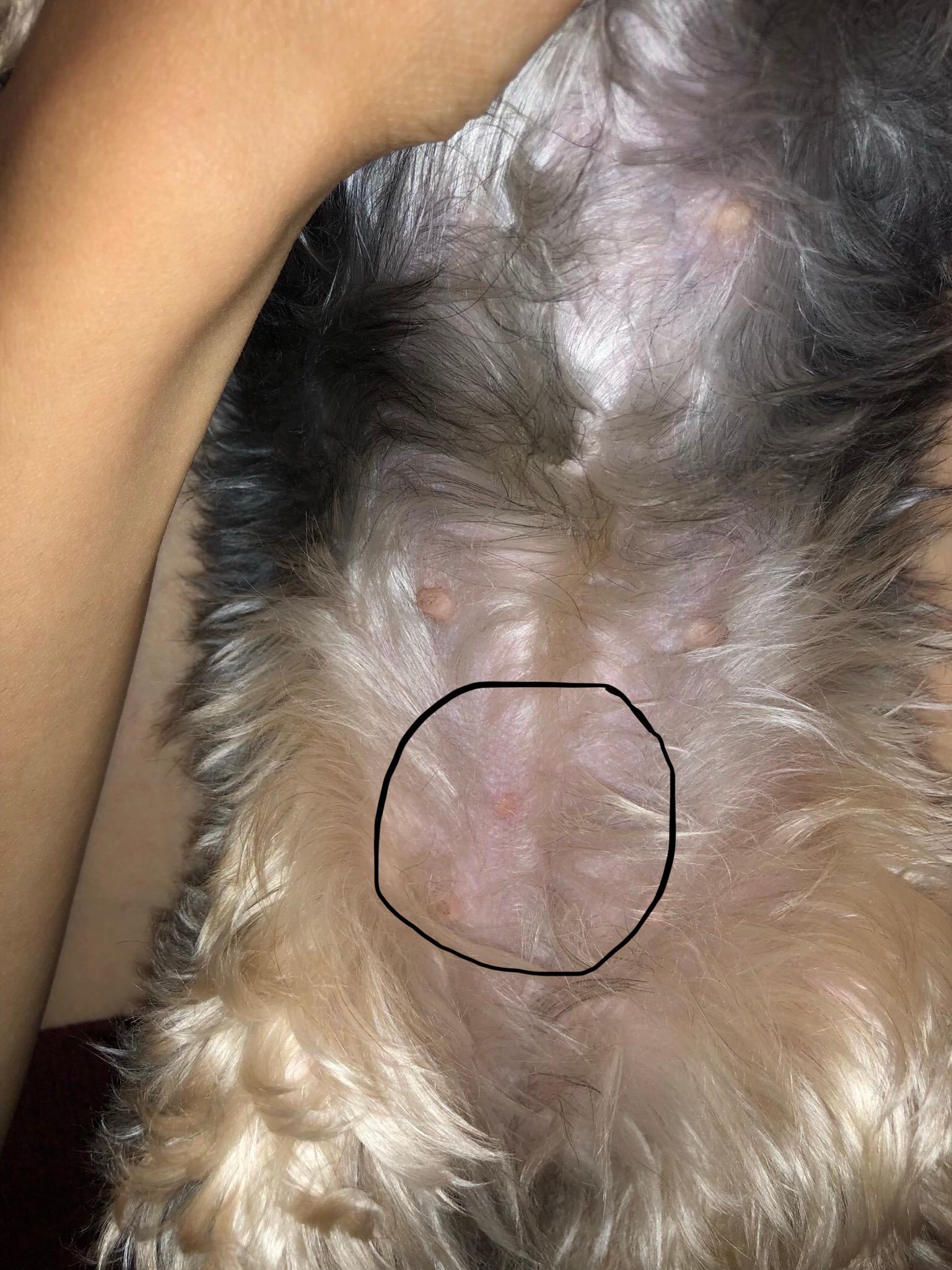 Question details sensitive content