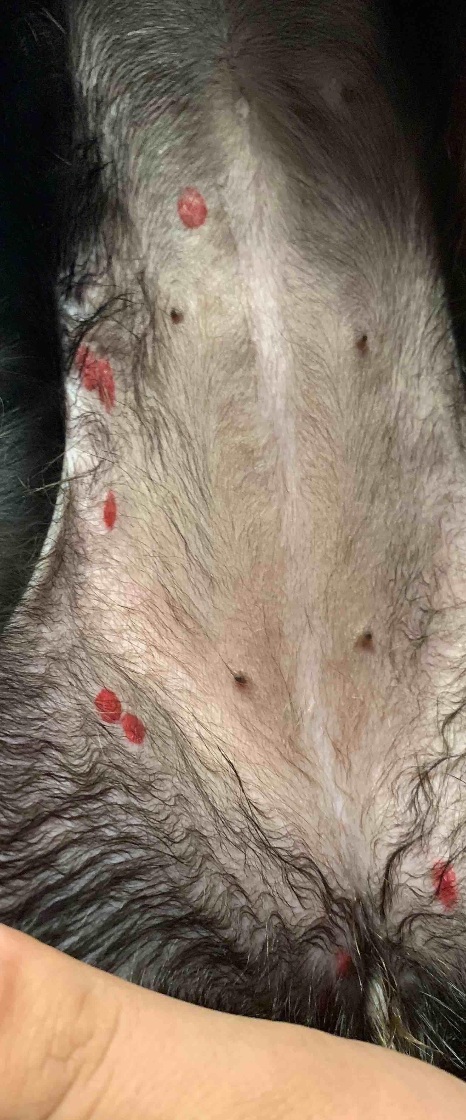 Question details sensitive content