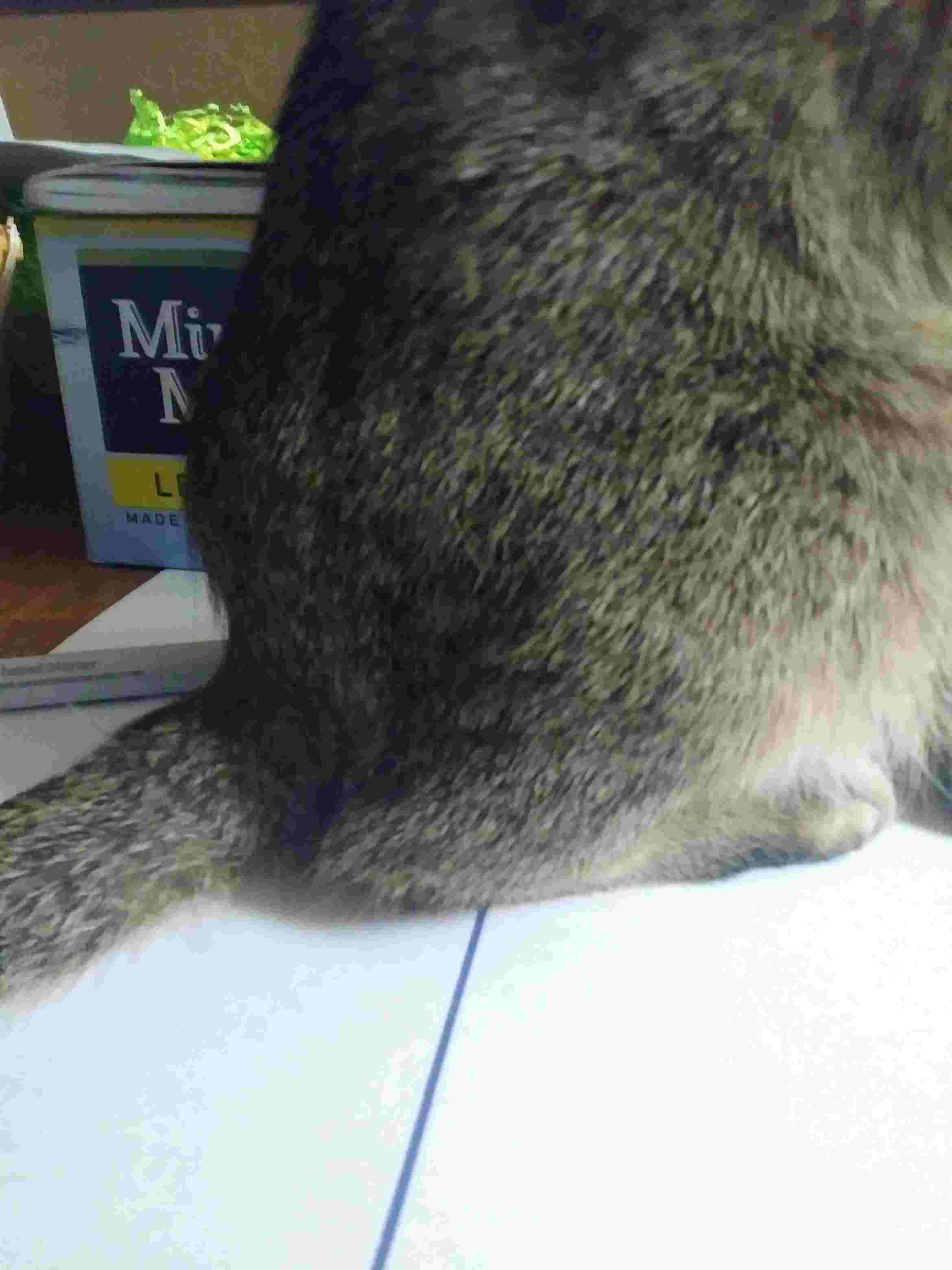 Question details sensitive content