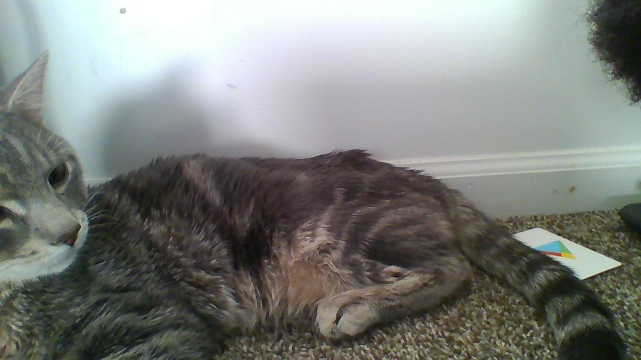 Question details sensitive content