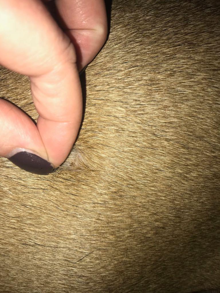 Question details sensitive content