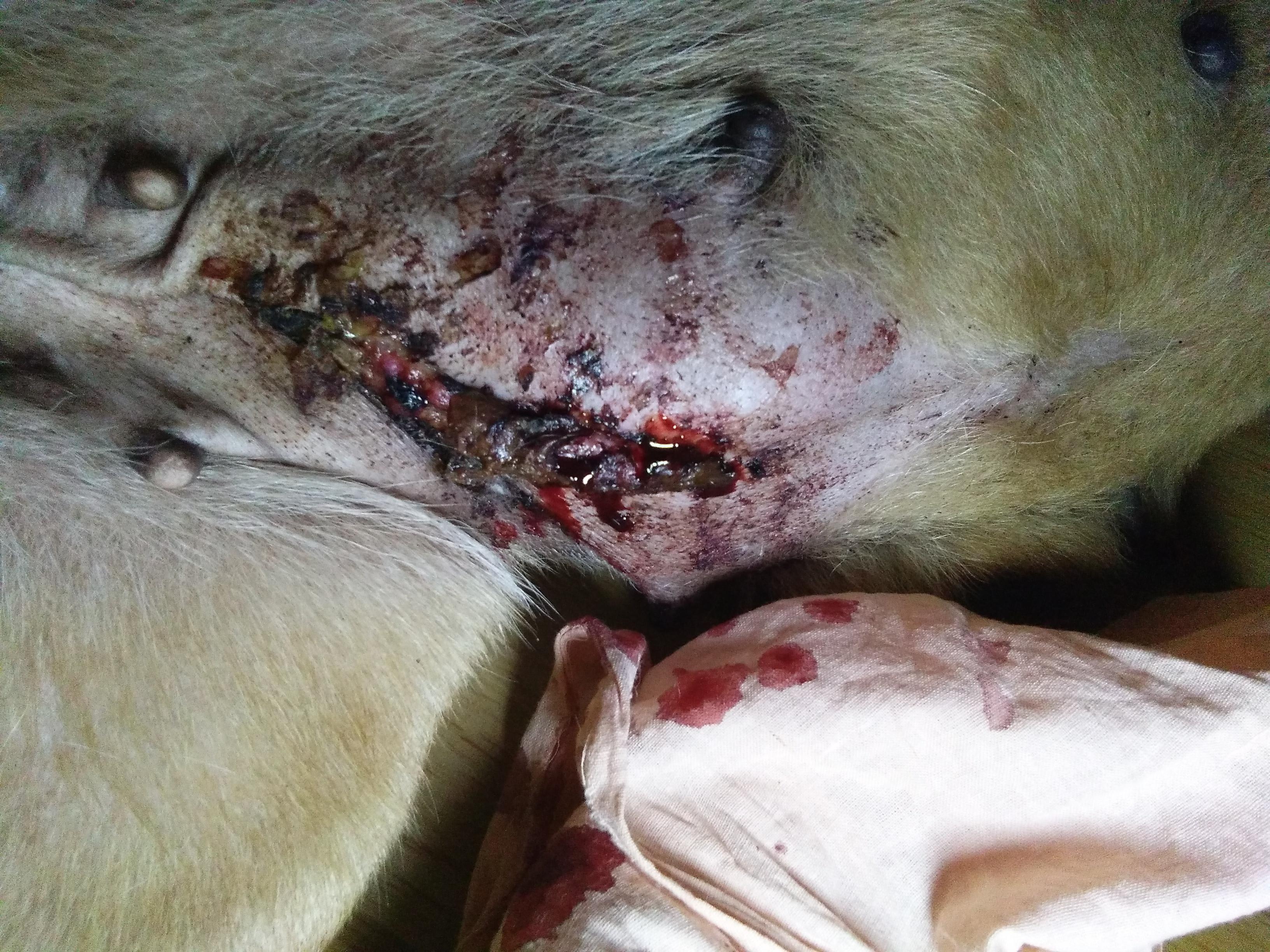 Question details sensitive content