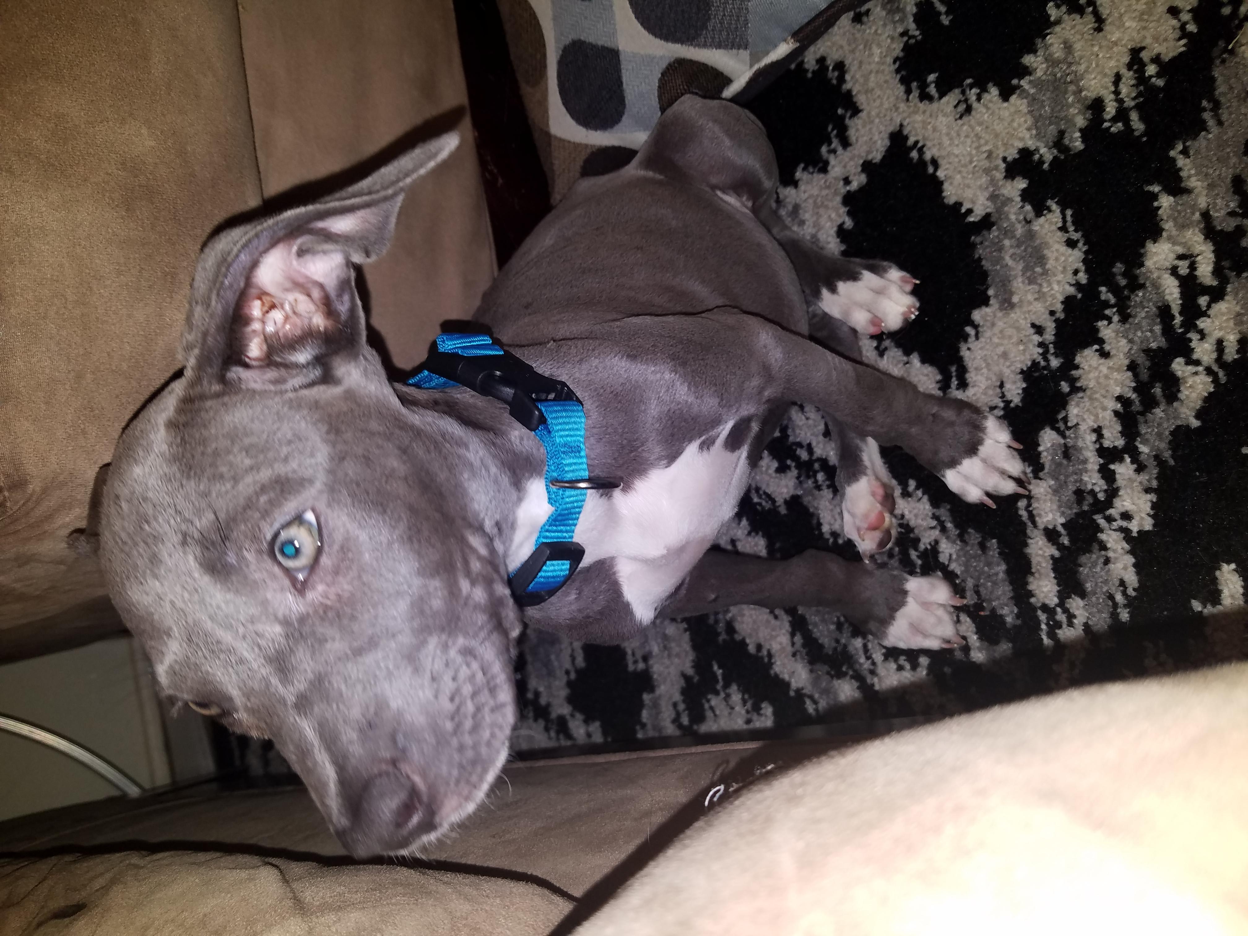 Question details sensitive content