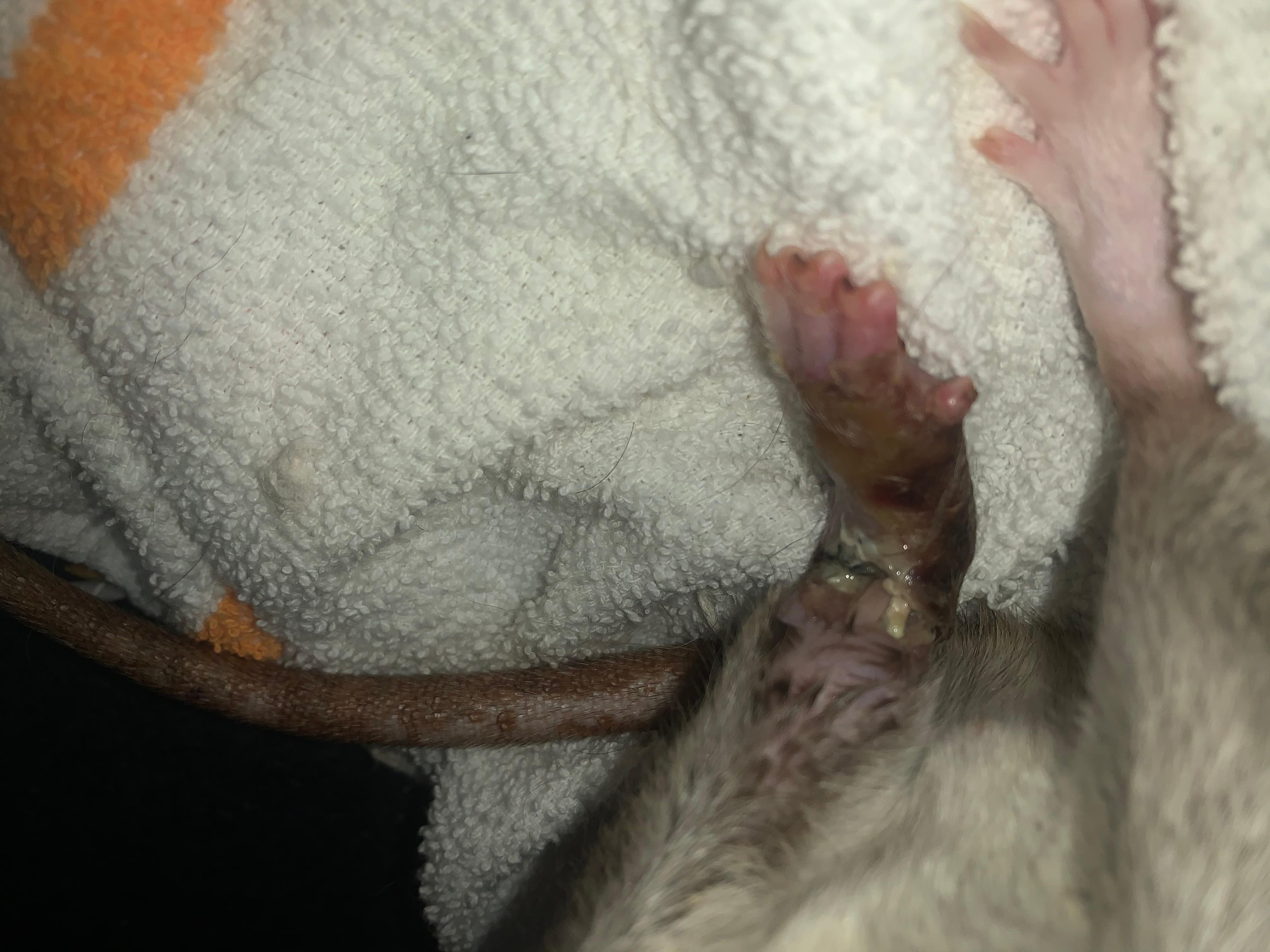 Question details sensitive content