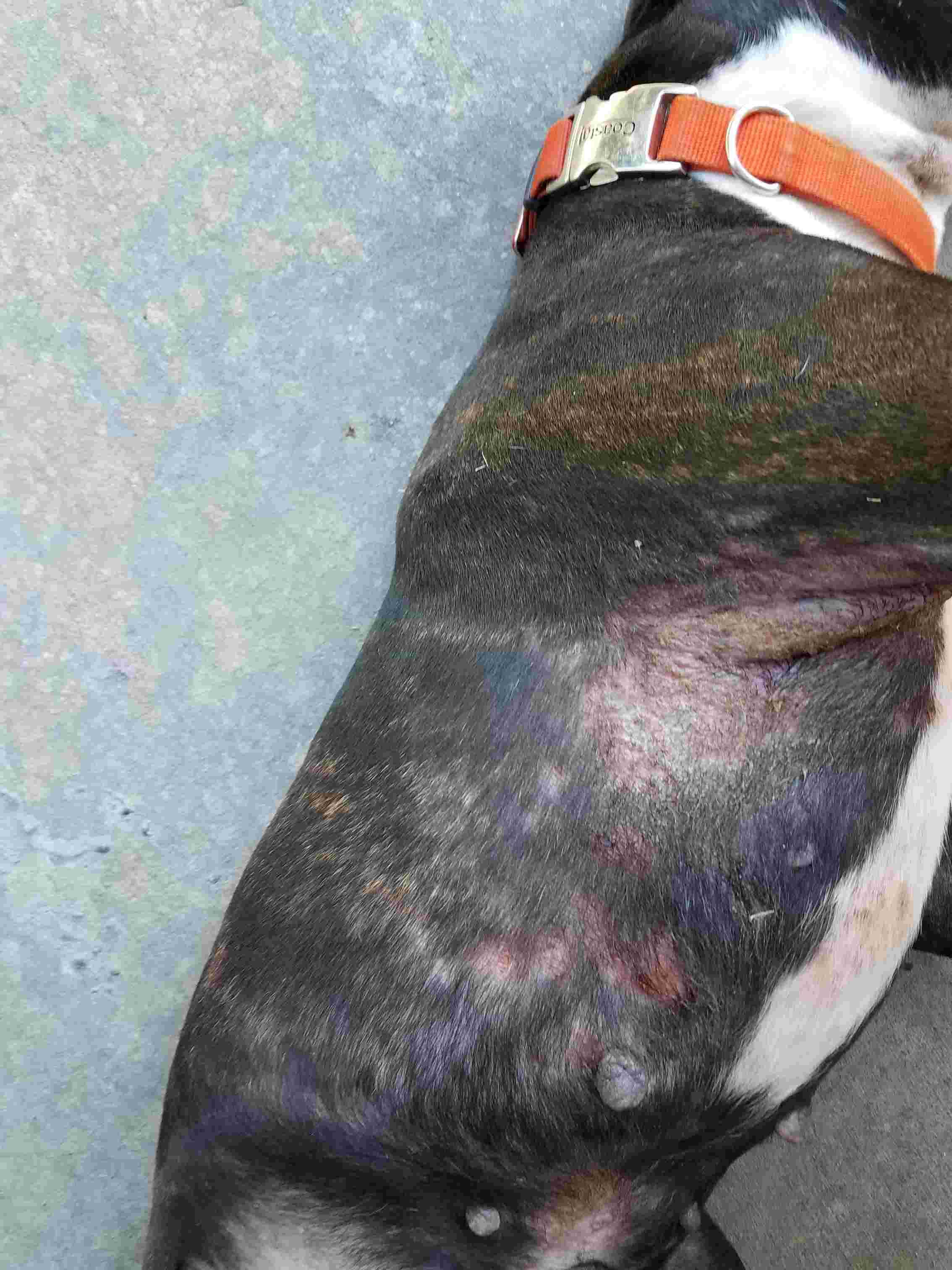 Question details sensitive content