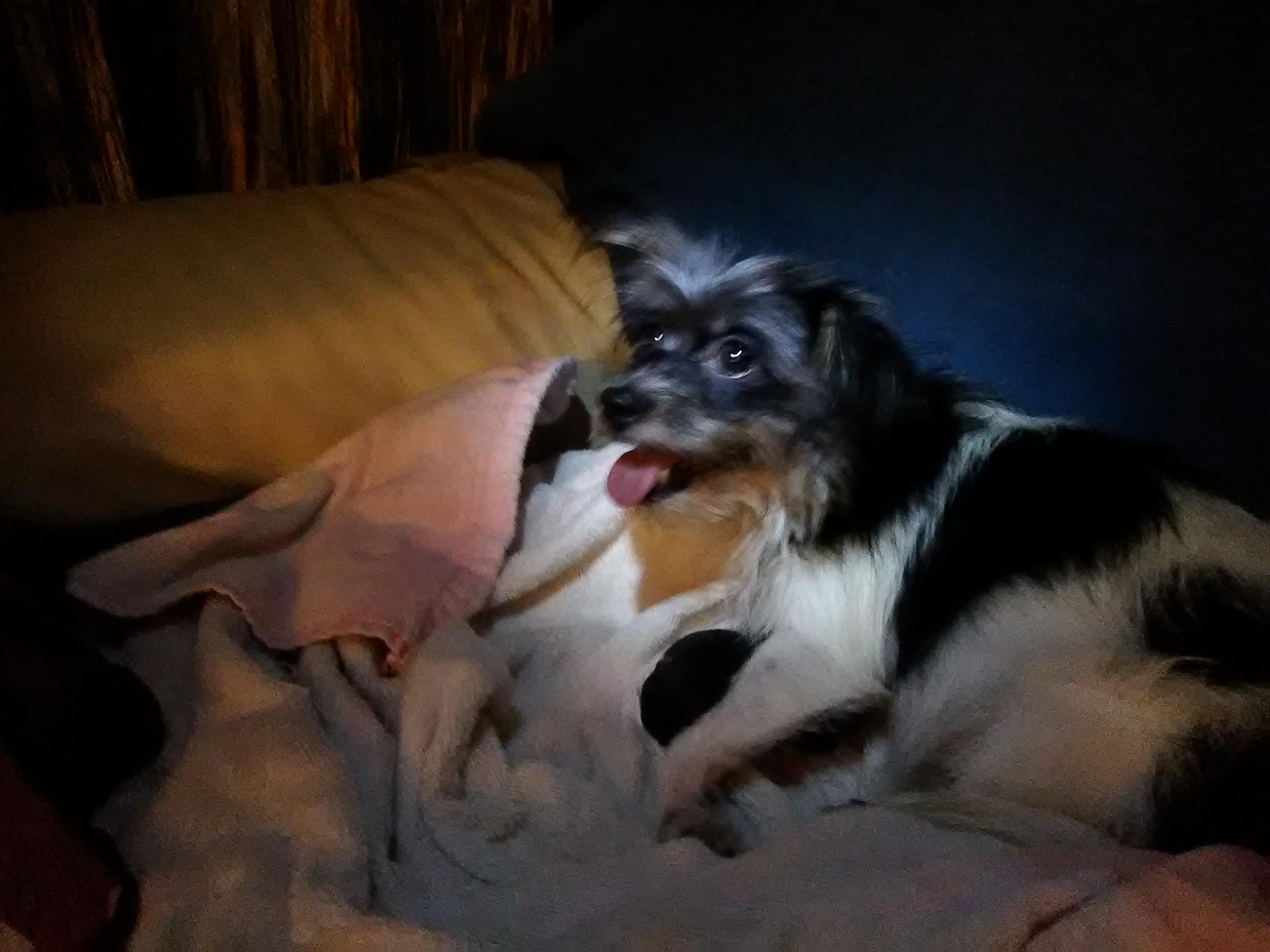 Question details sensitive content