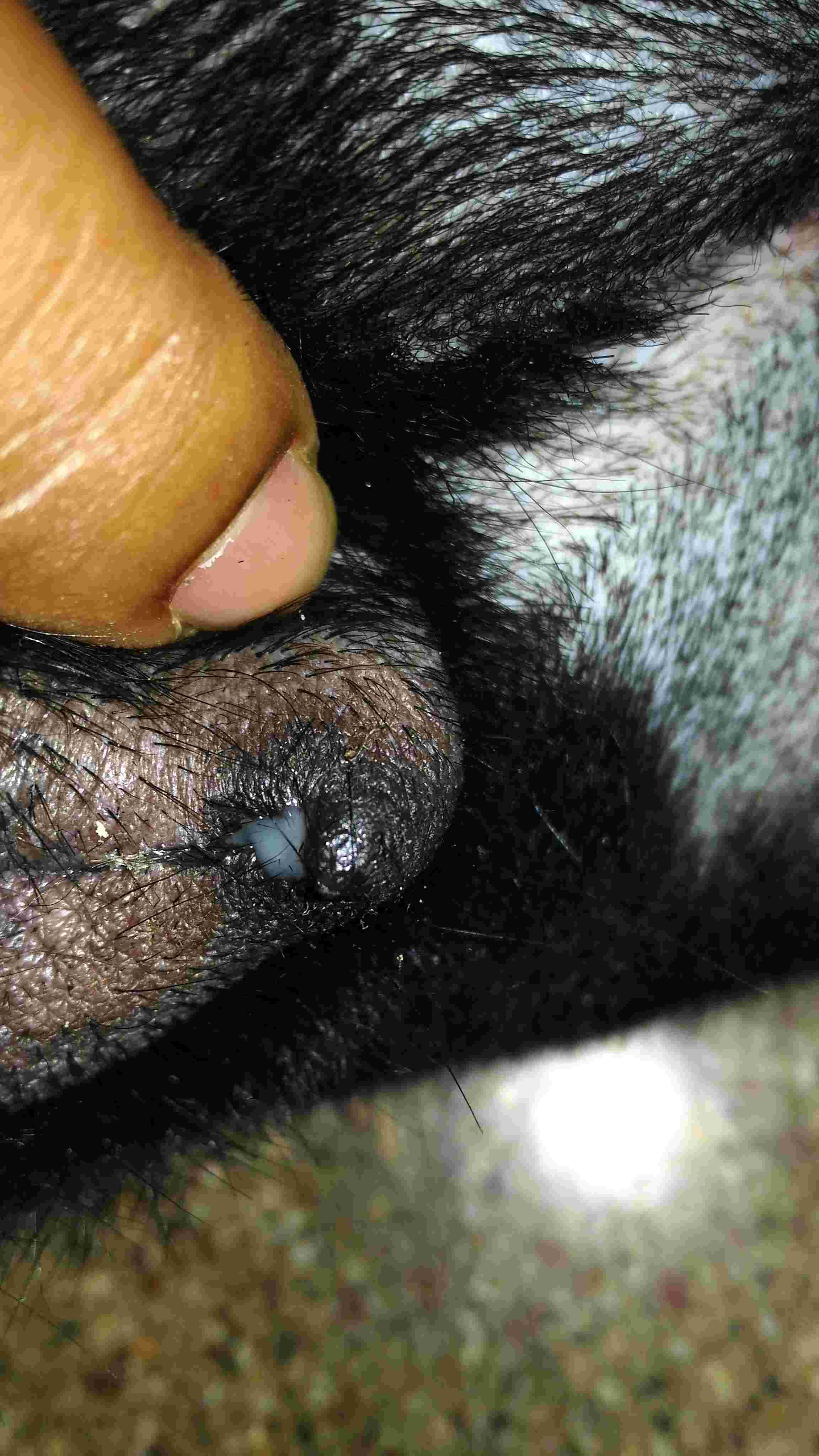 Question details sensitive content