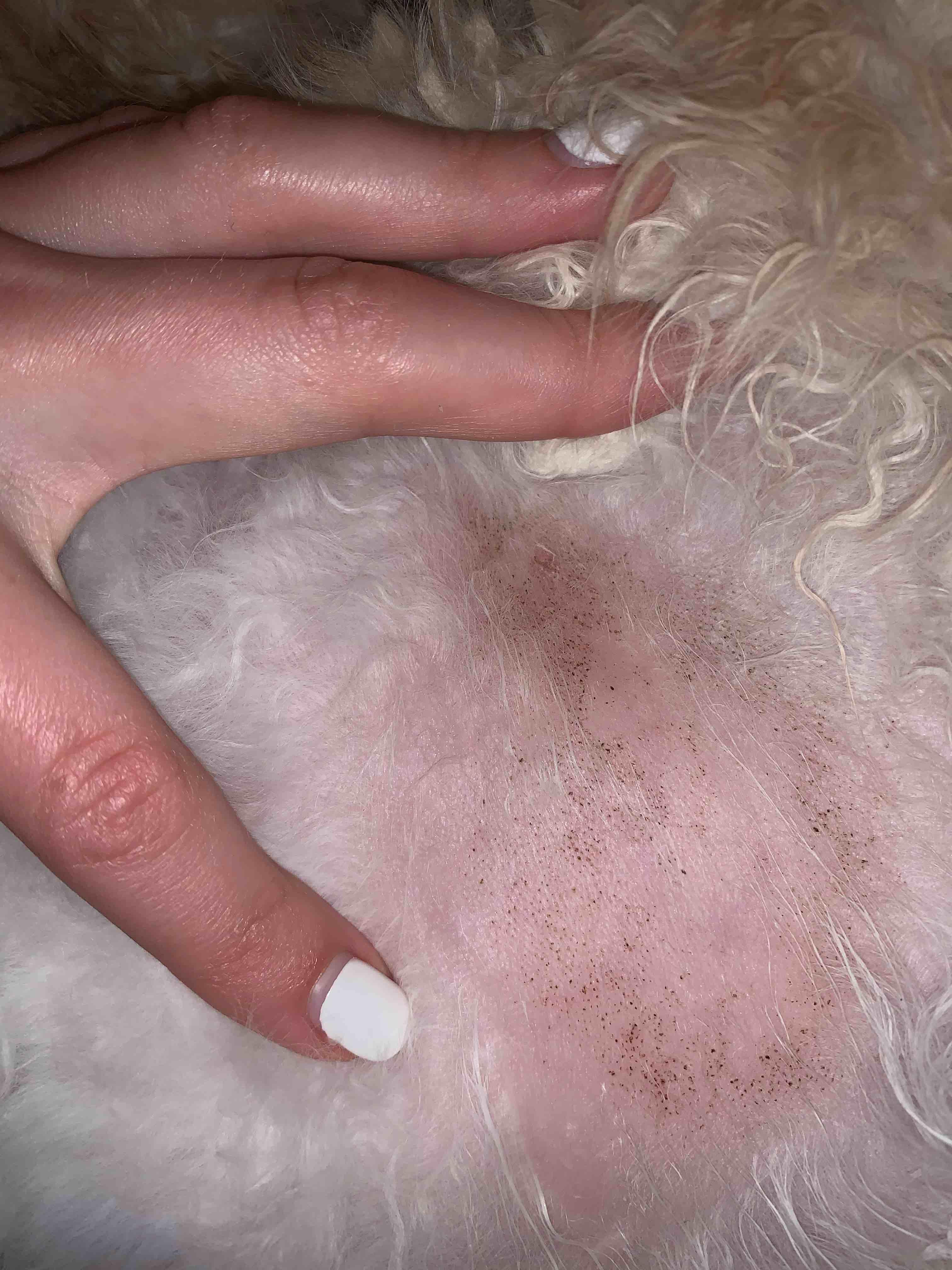 Question details sensitive content