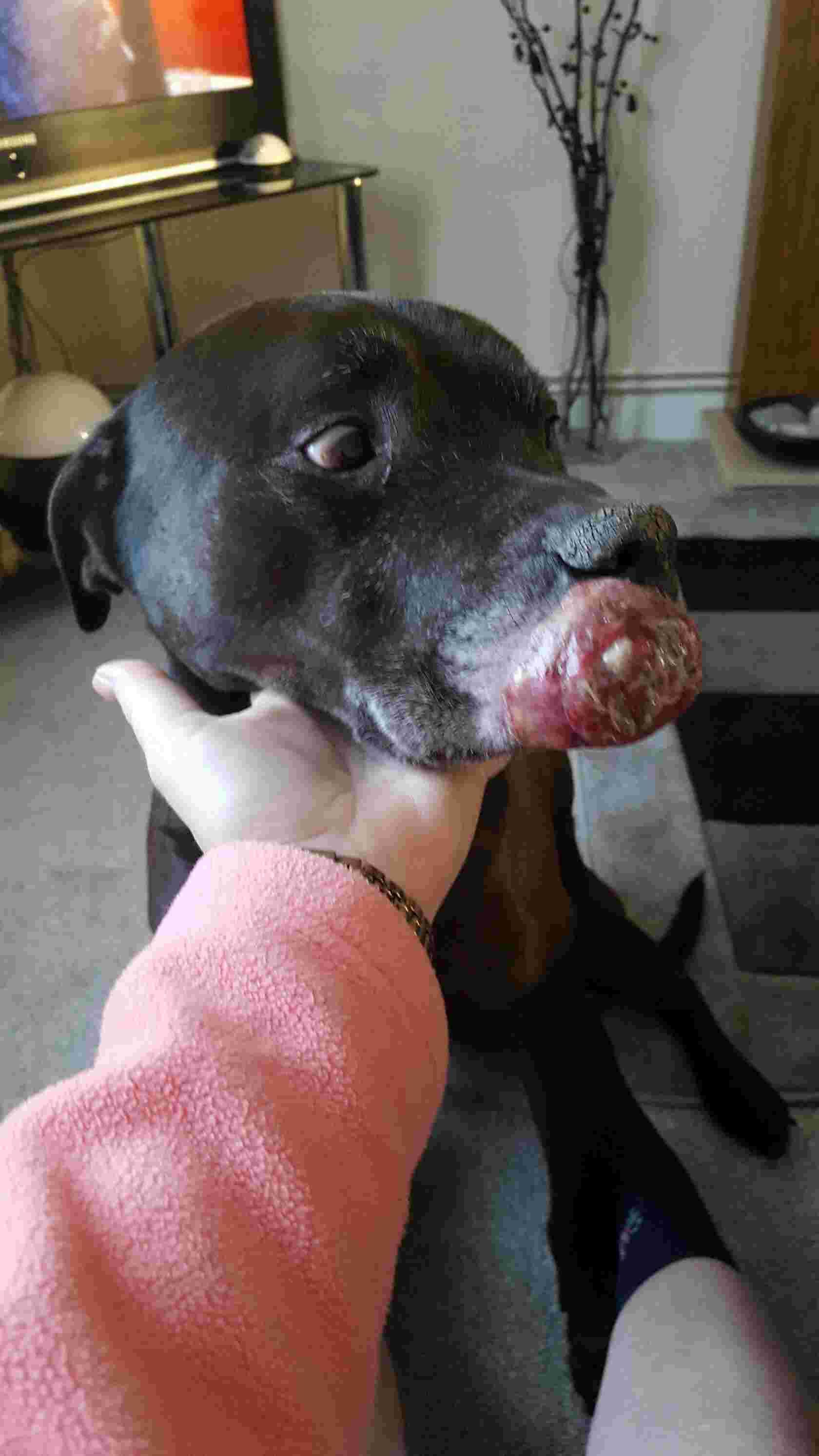 Question details sensitive content