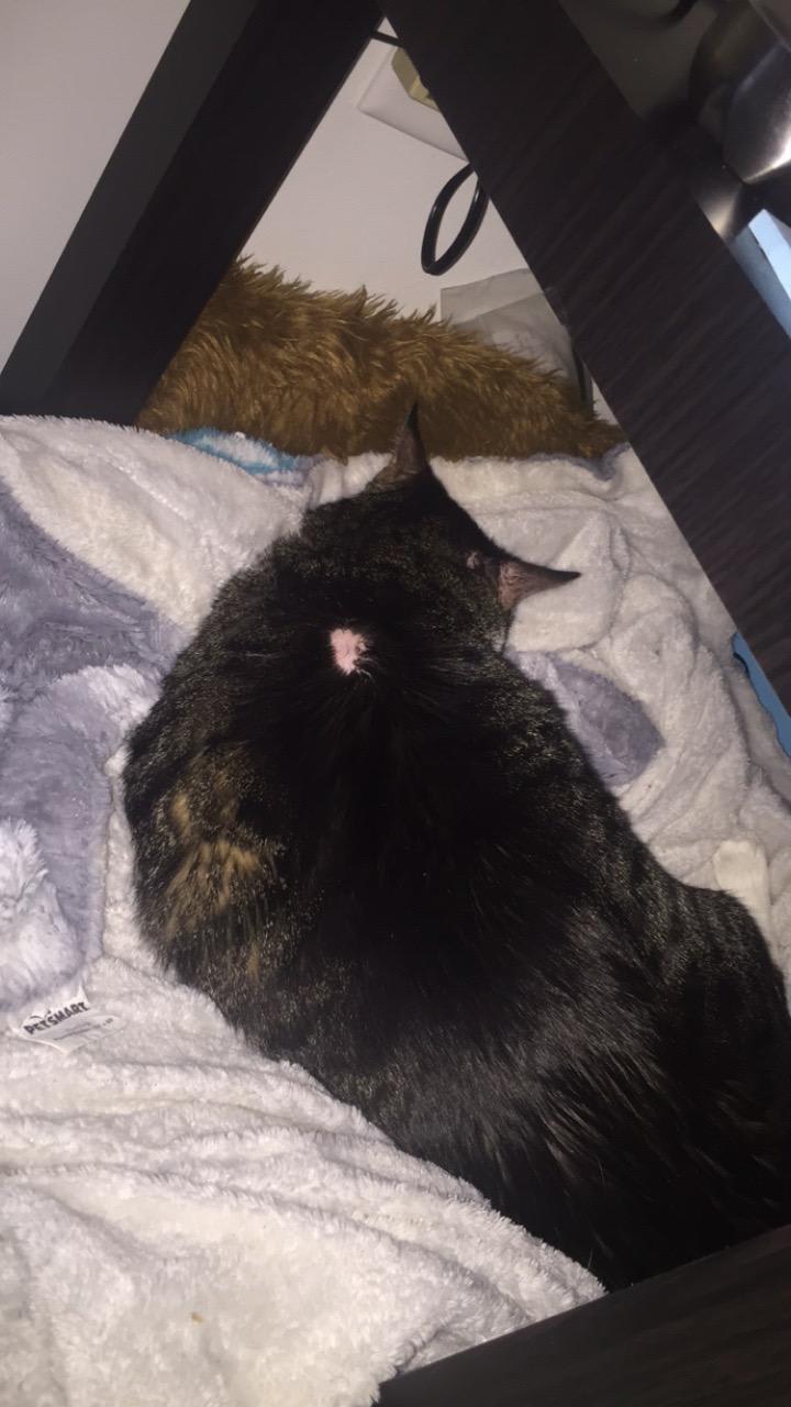 Question details sensitive content