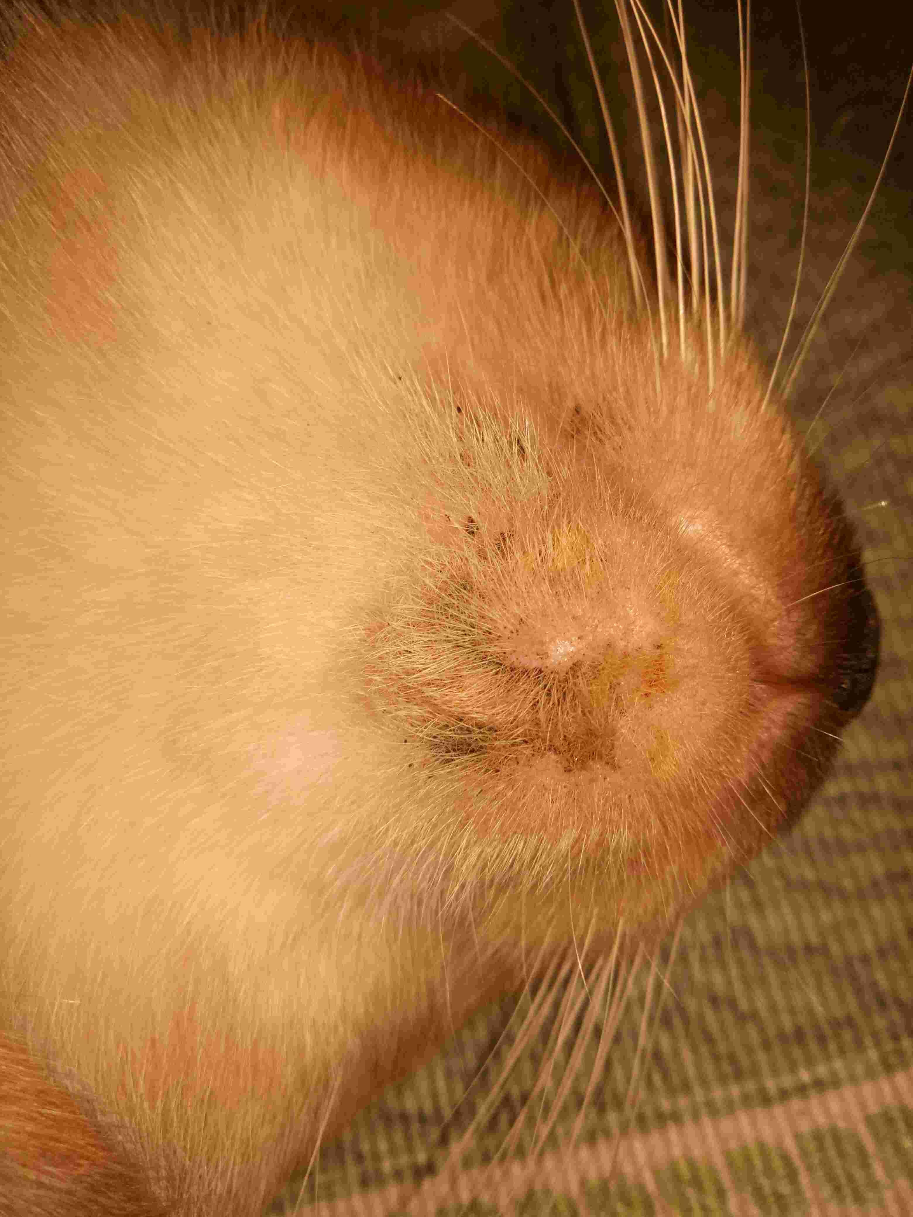 Question details sensitive content