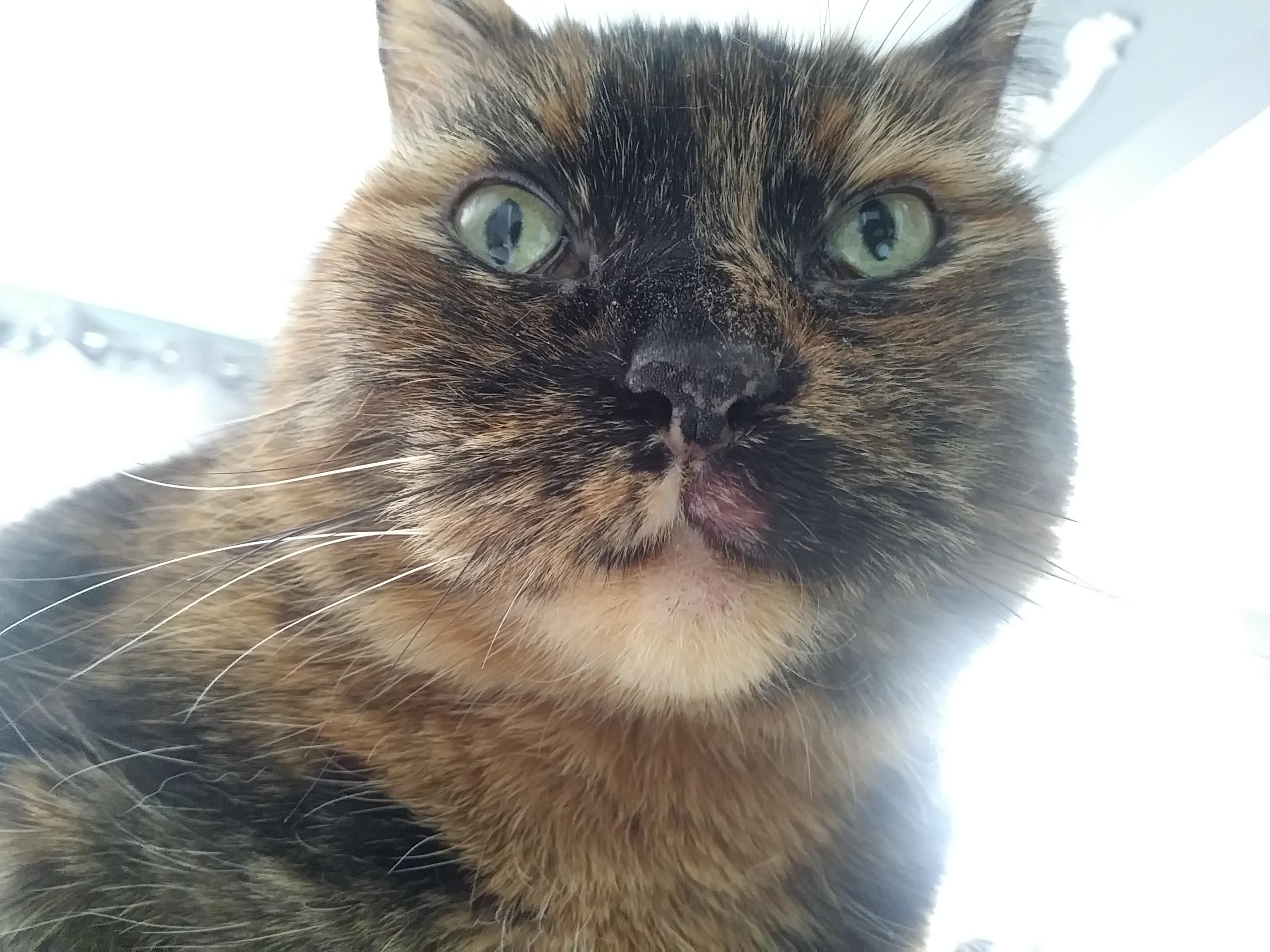 Question details sensitive content