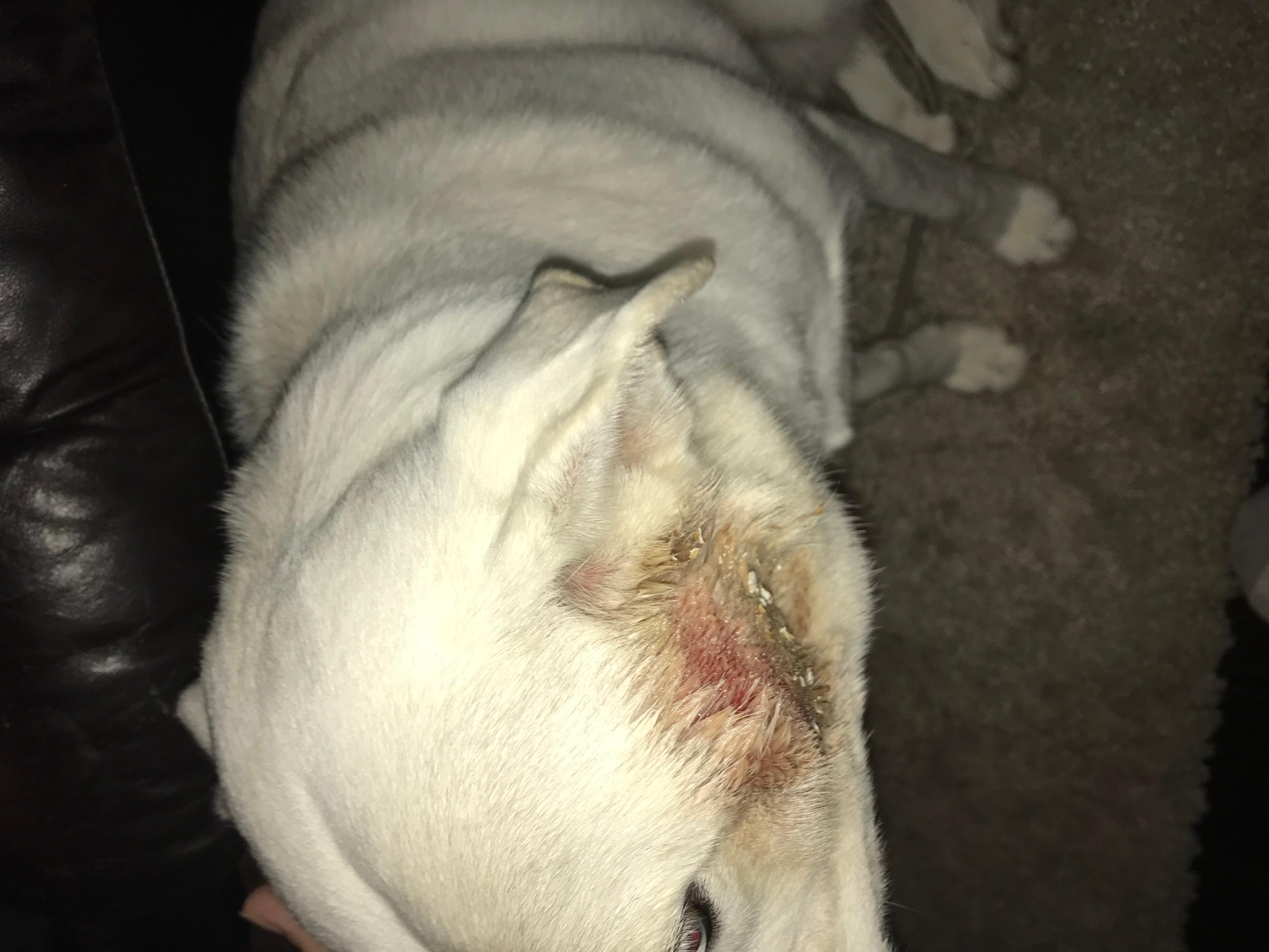 Question details sensitive content