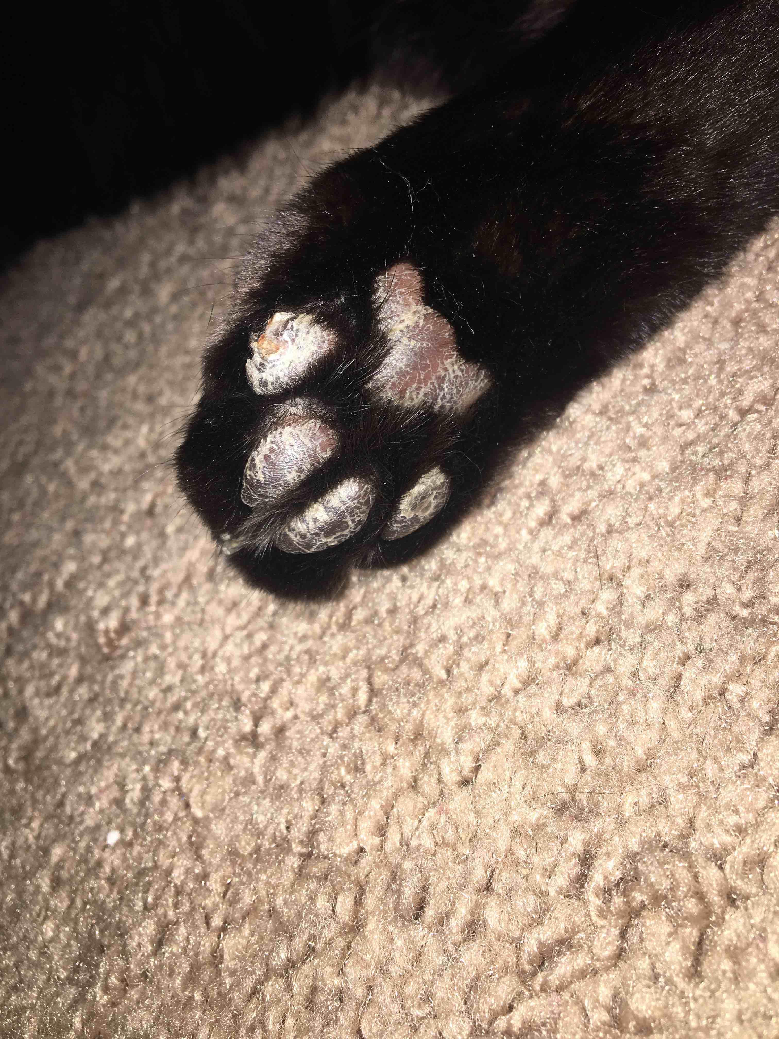 Question details sensitive content