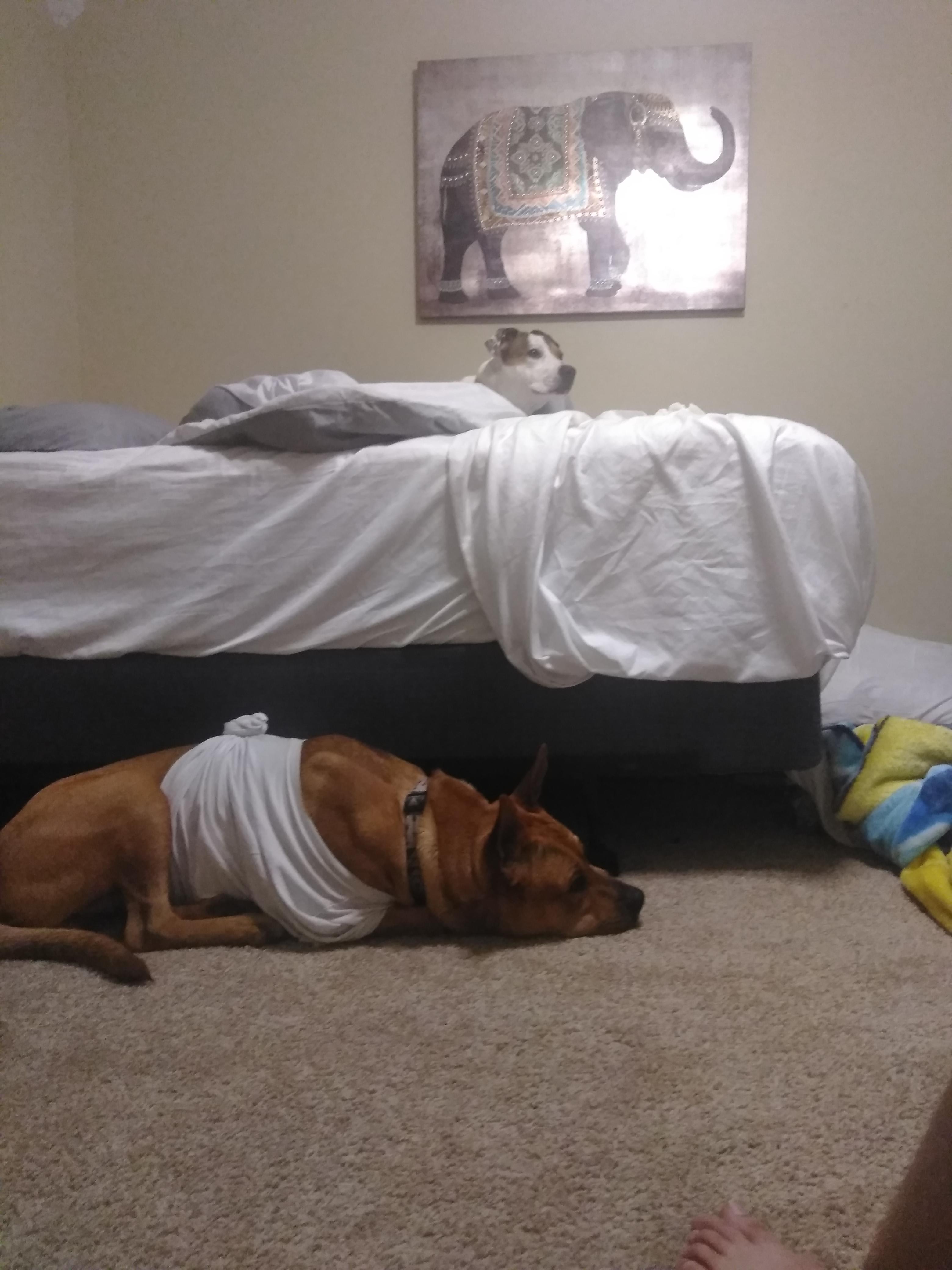 Question details sensitive content