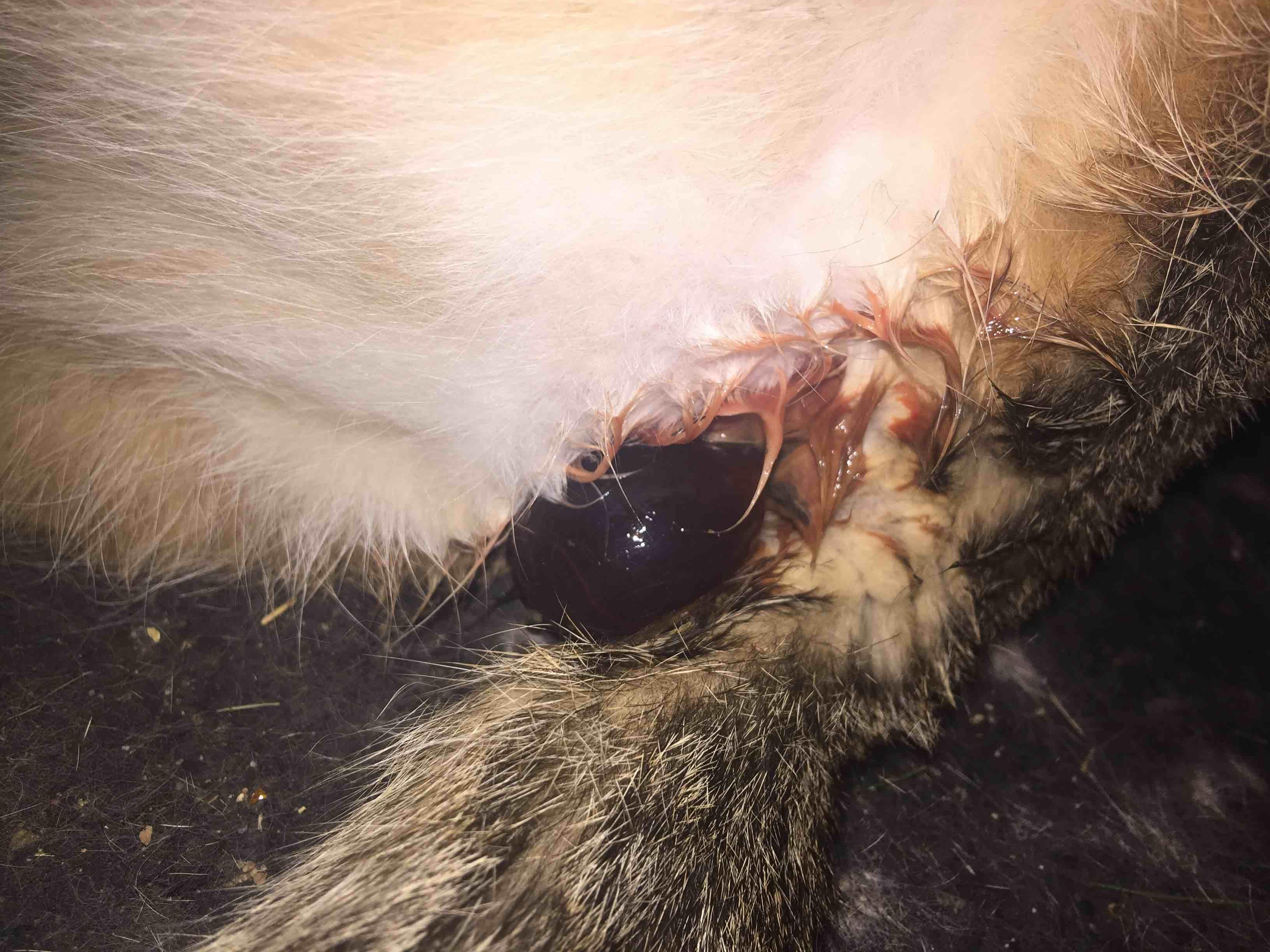 Question details sensitive content