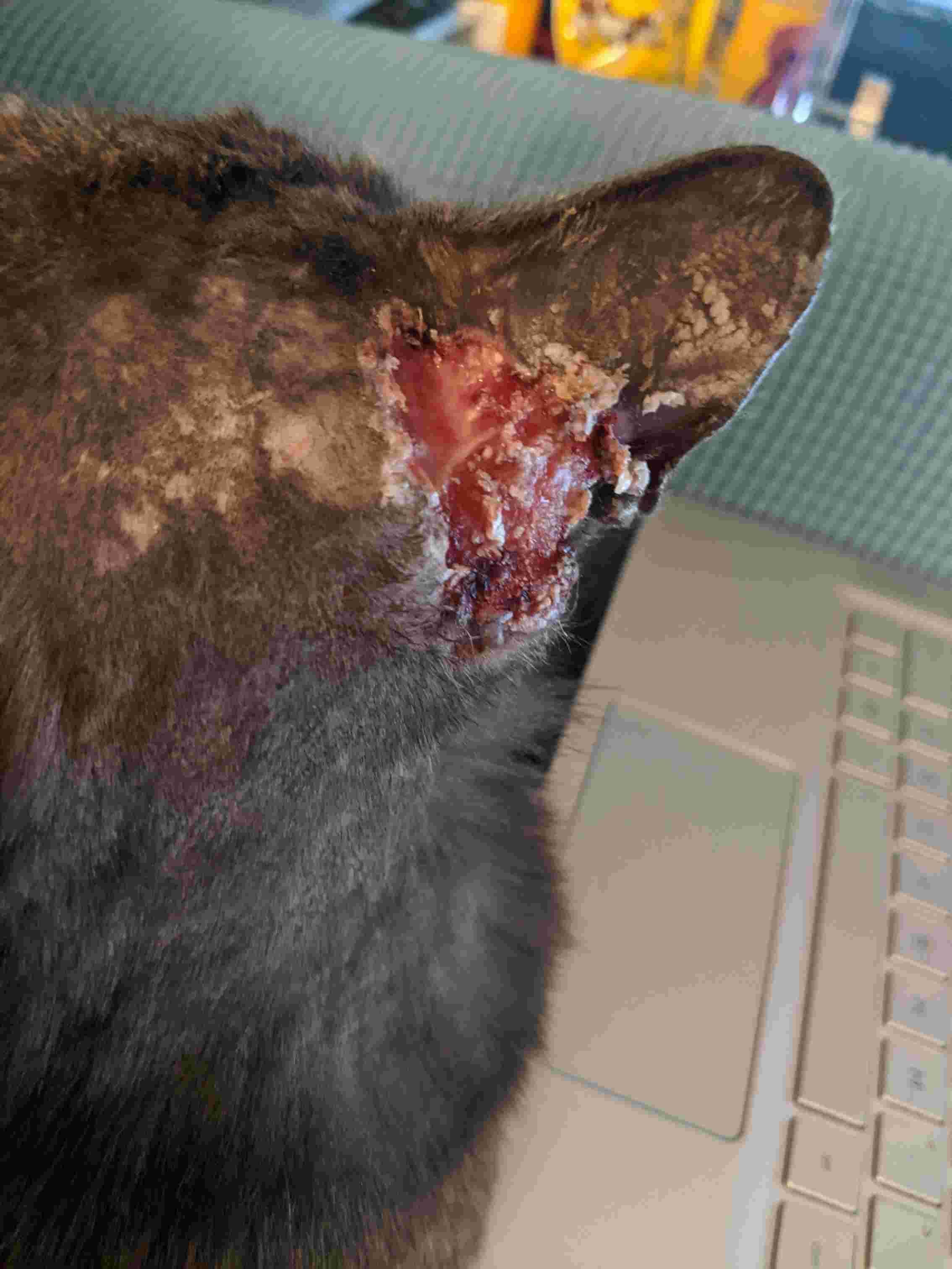 Question details sensitive content