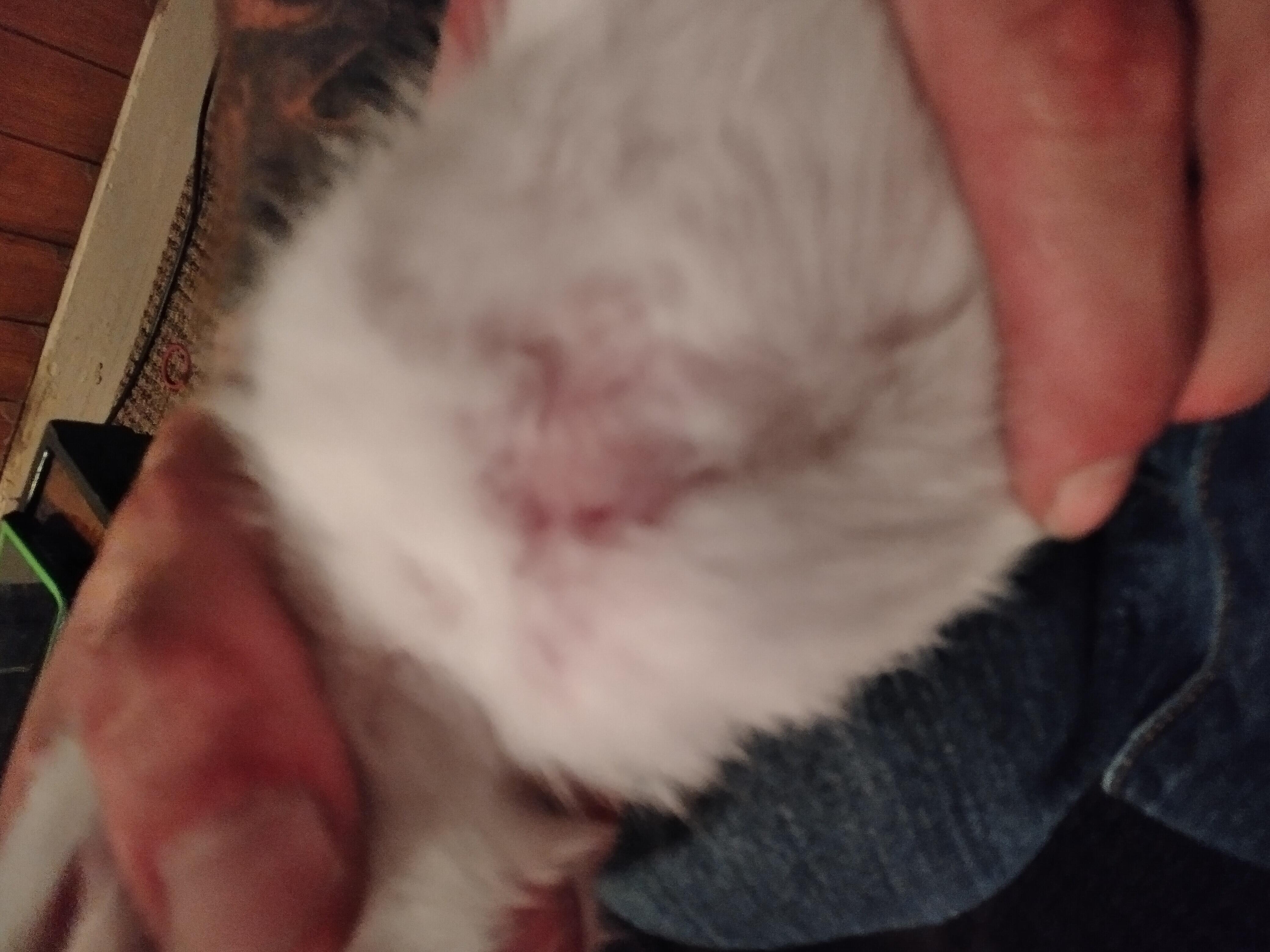 Question details sensitive content