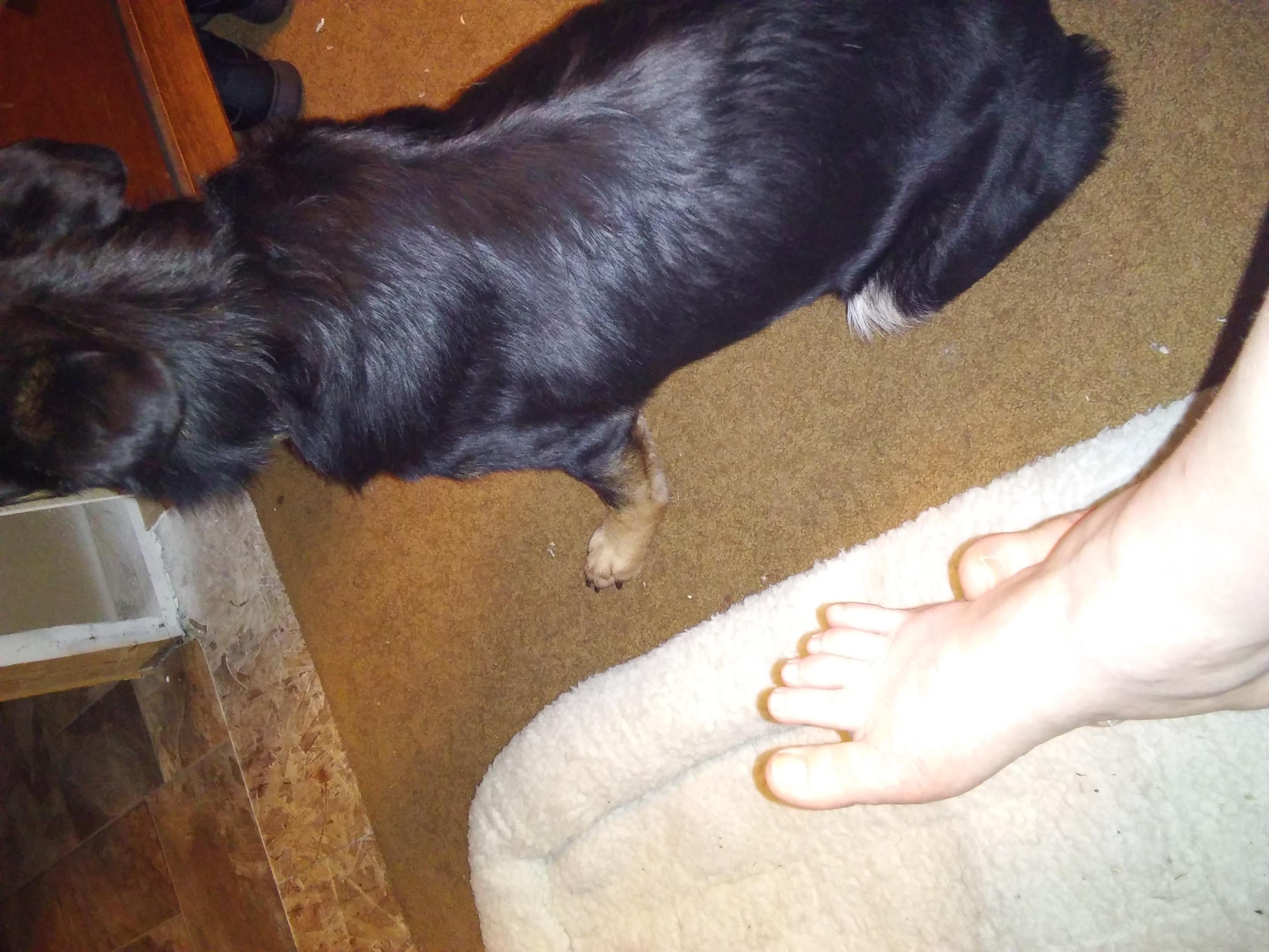 Question details sensitive content