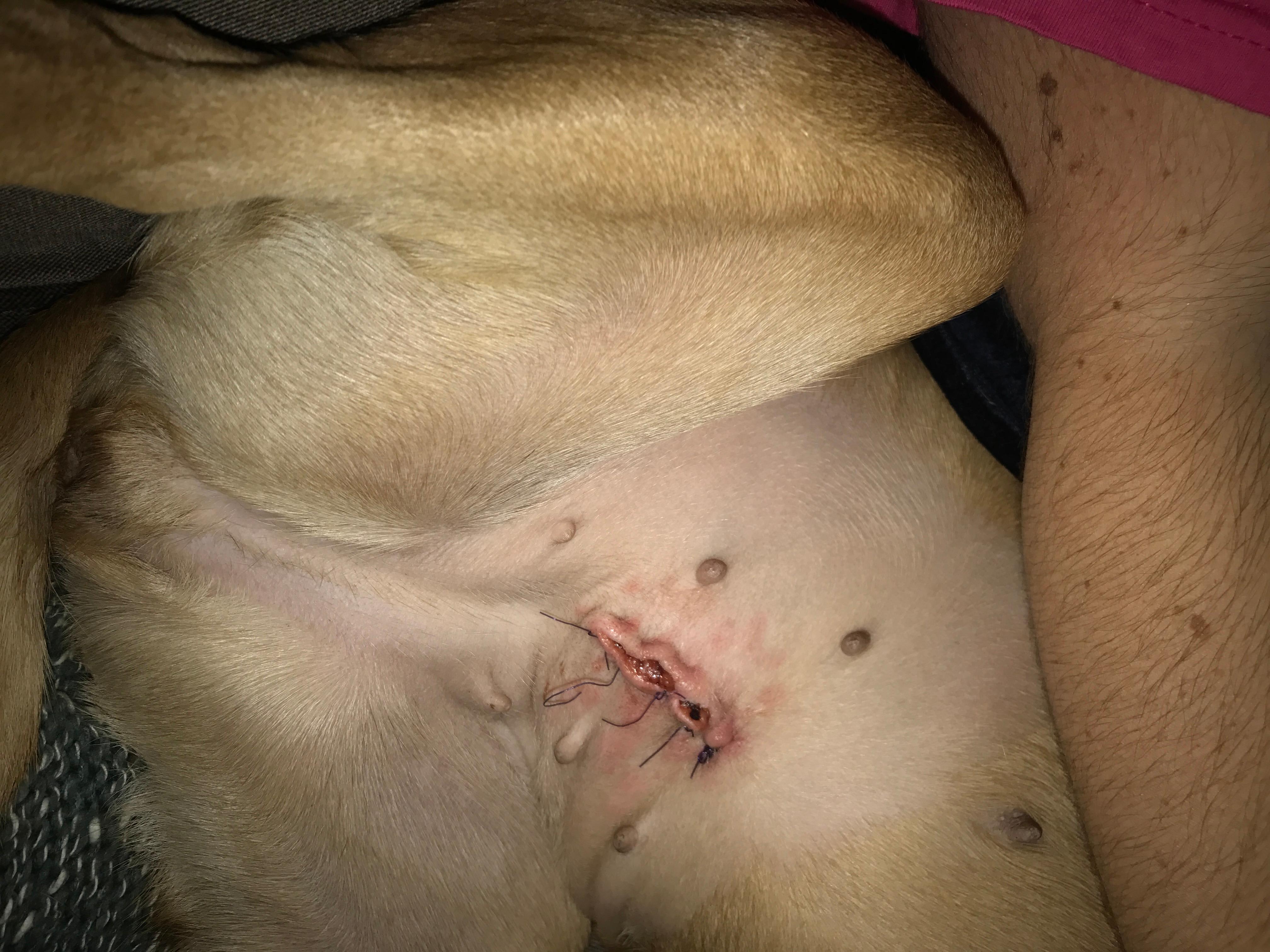 Question details sensitive content