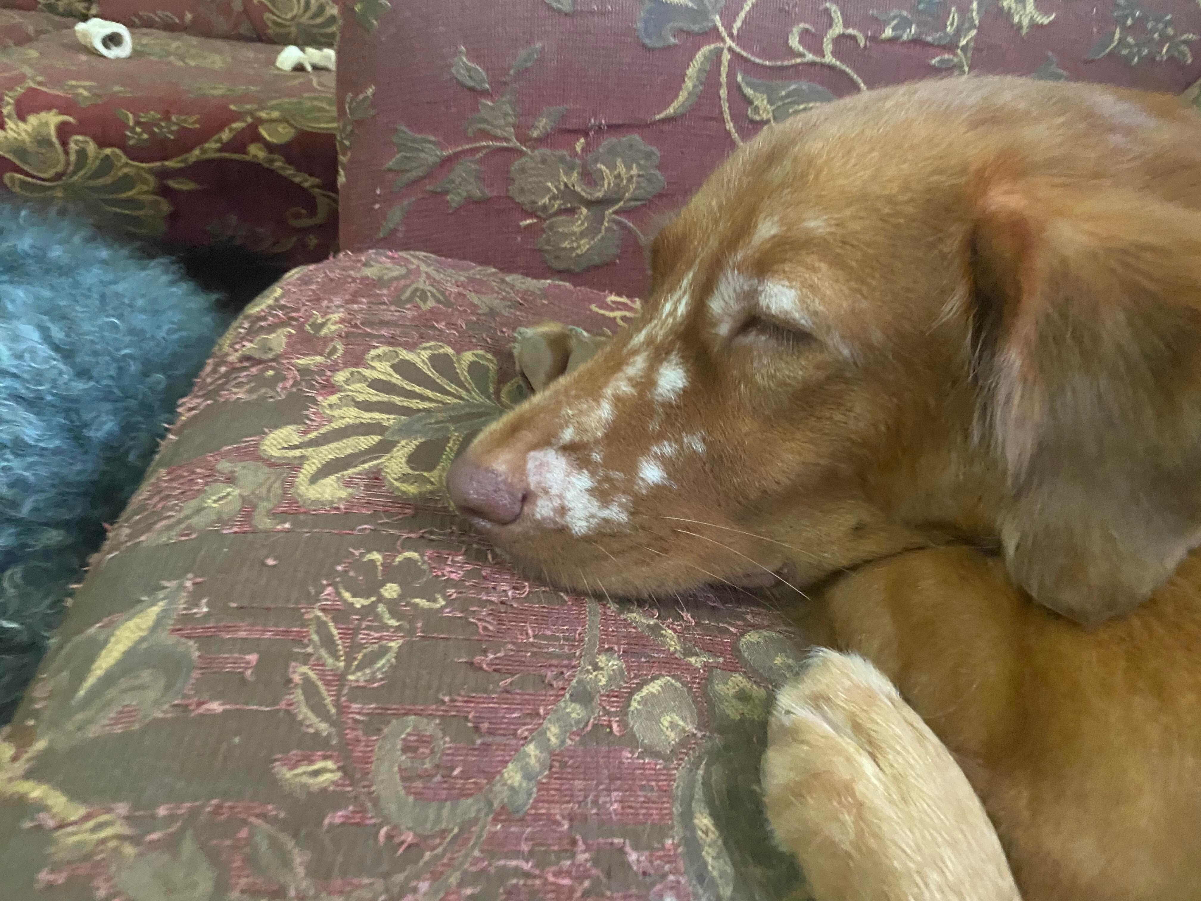 Question details sensitive content