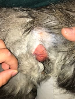 Question details sensitive content