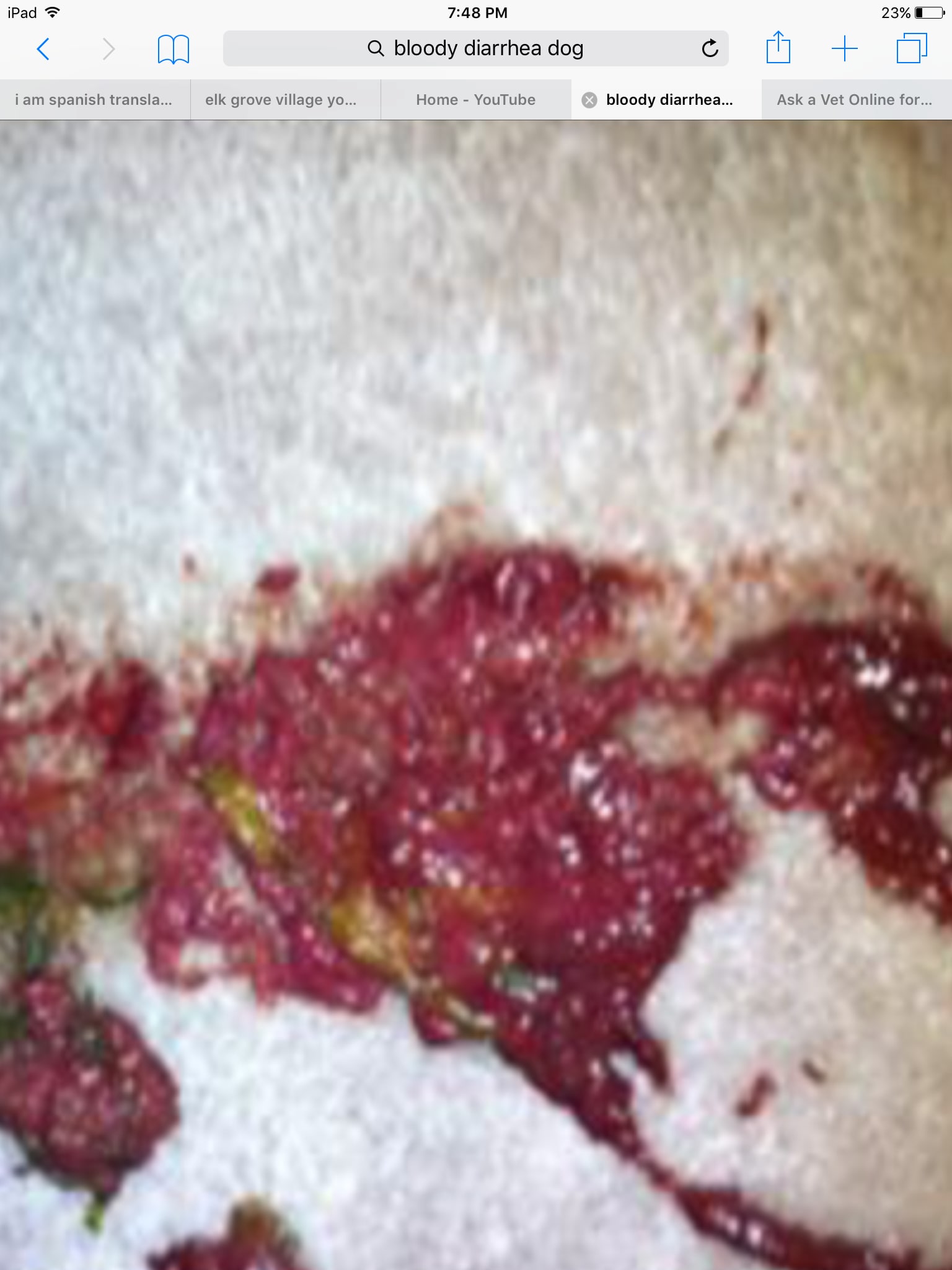 Question details sensitive content