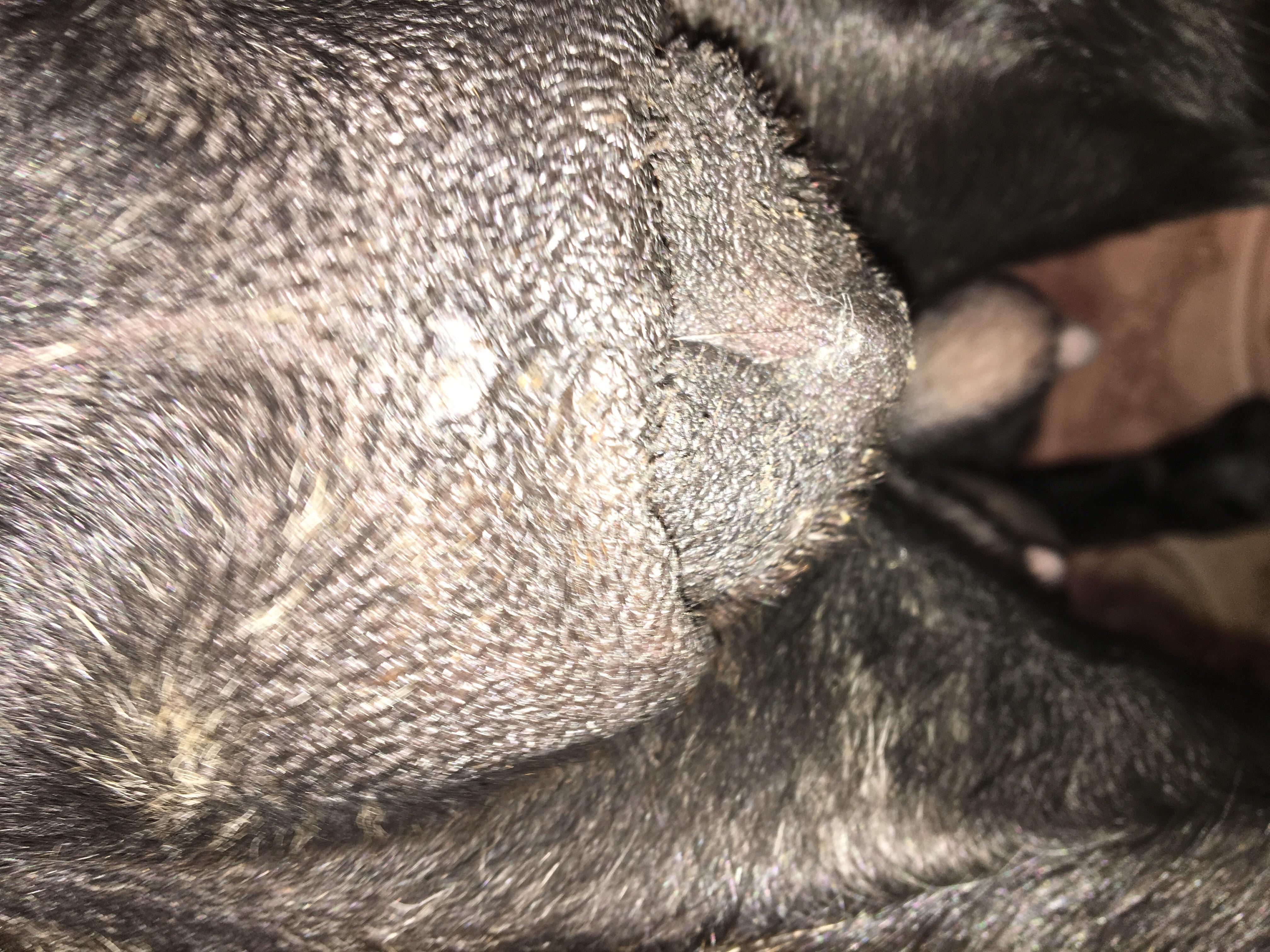 Question details sensitive content