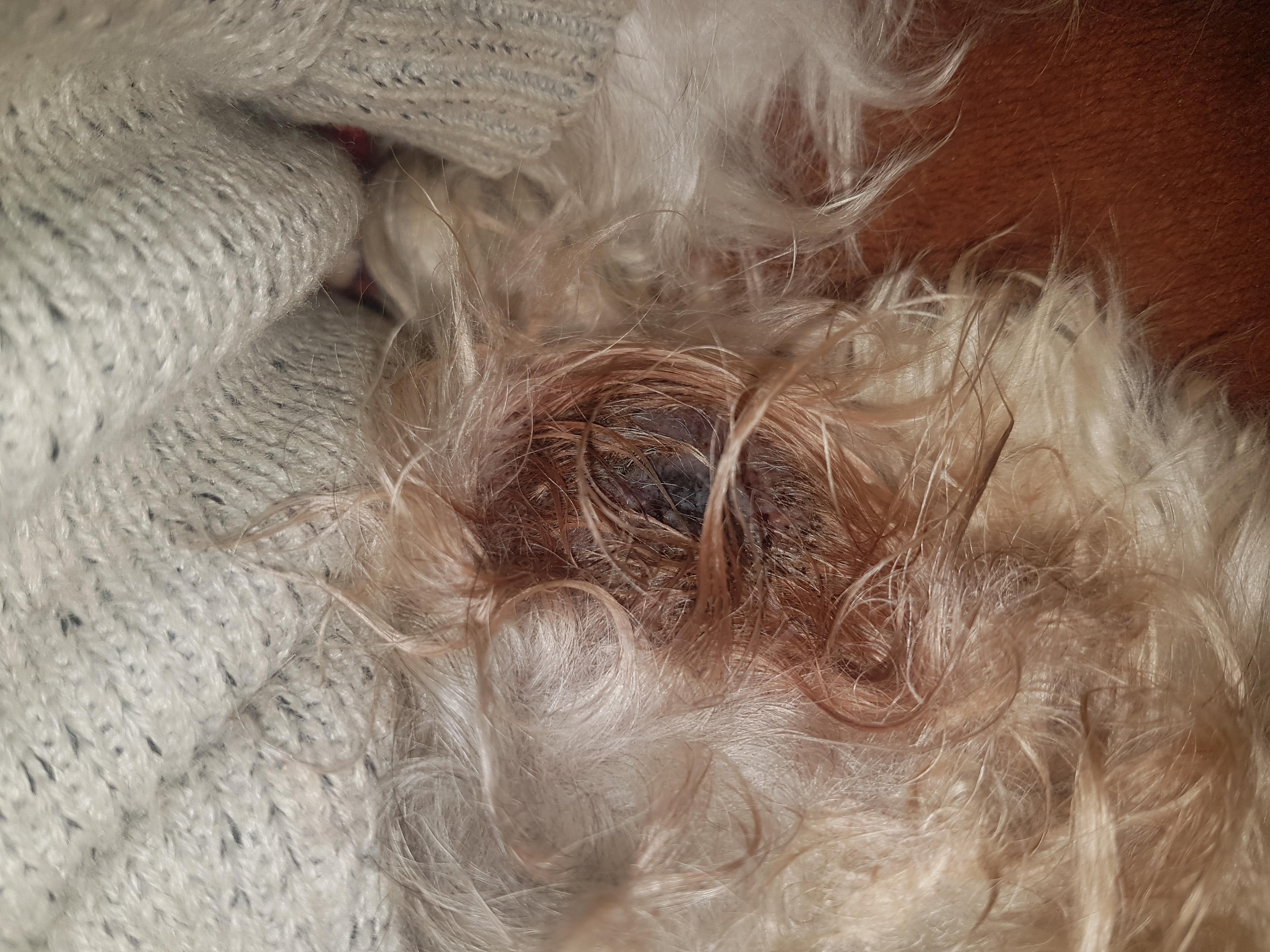 Question details sensitive content