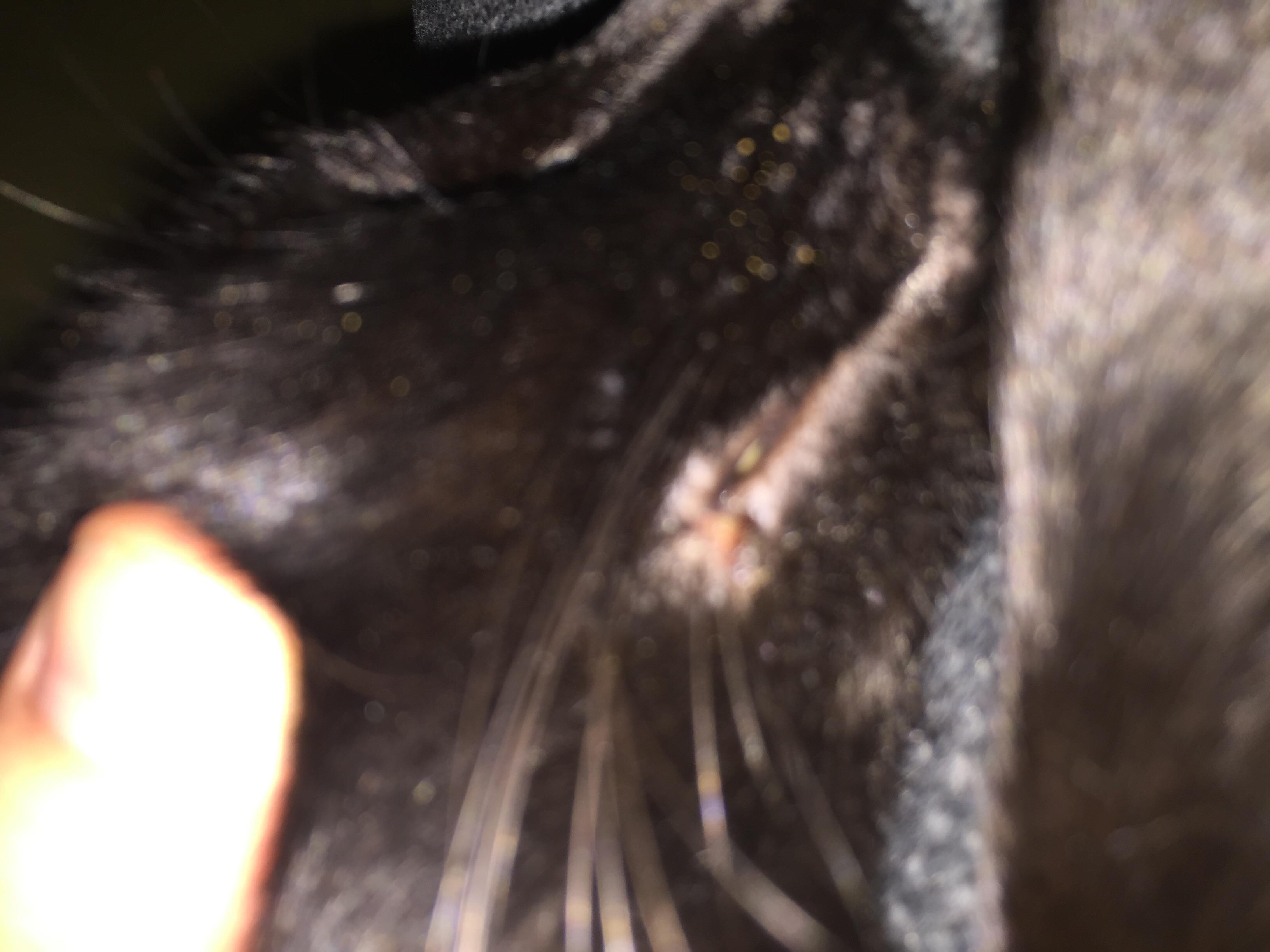 Question details sensitive content