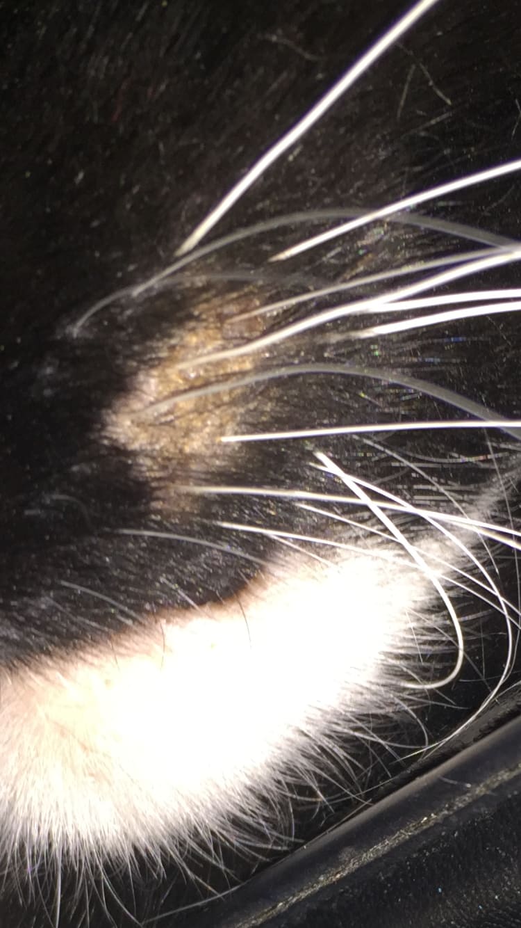 Question details sensitive content