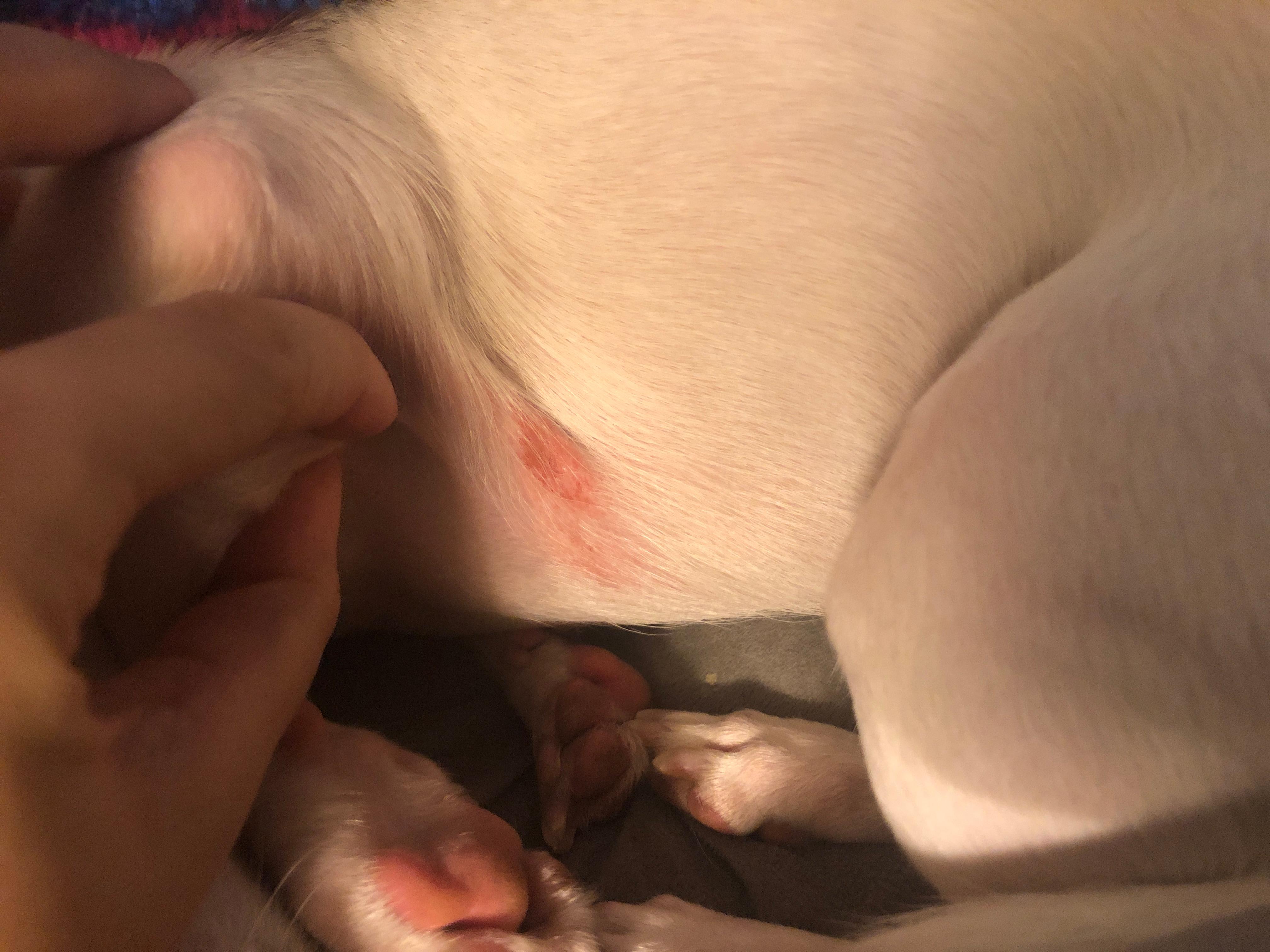 Question details sensitive content