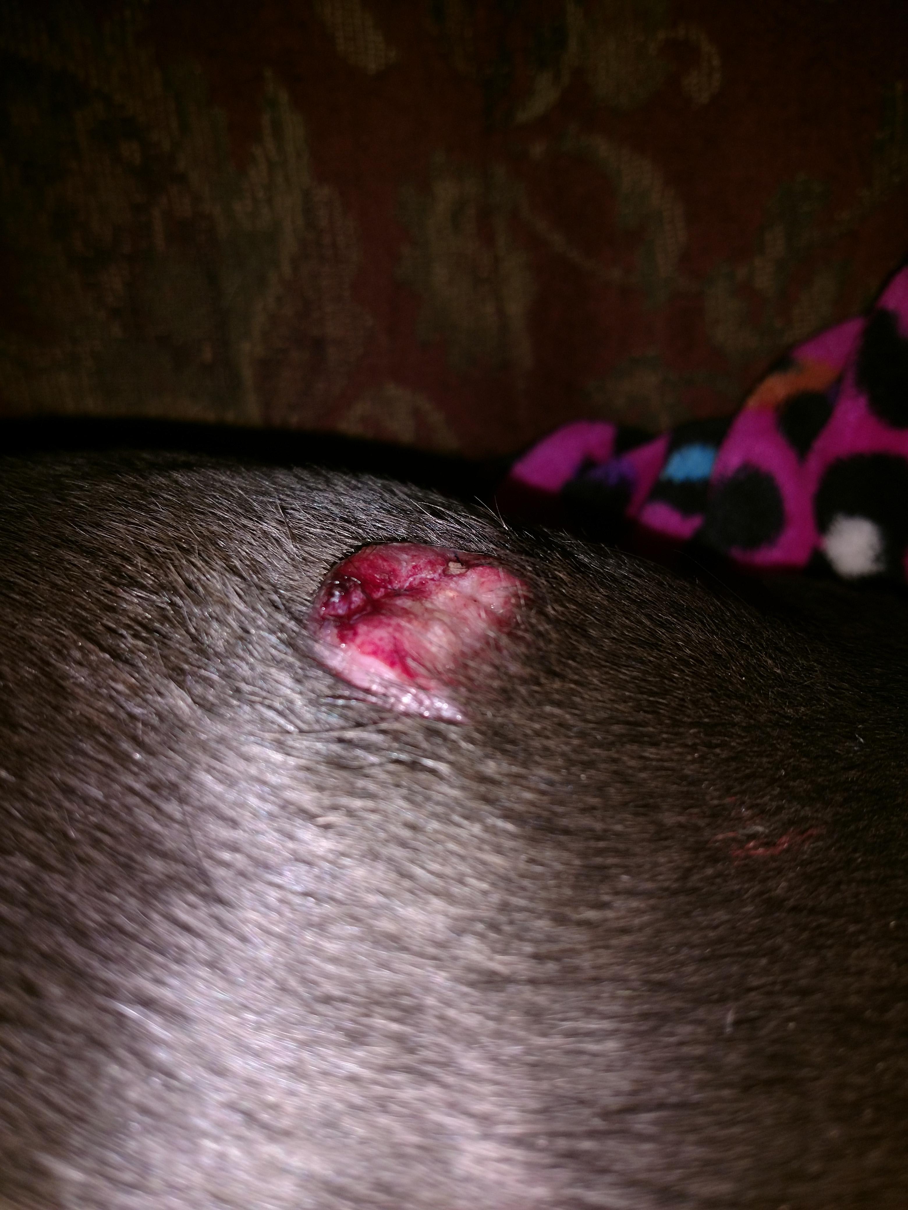 Question details sensitive content