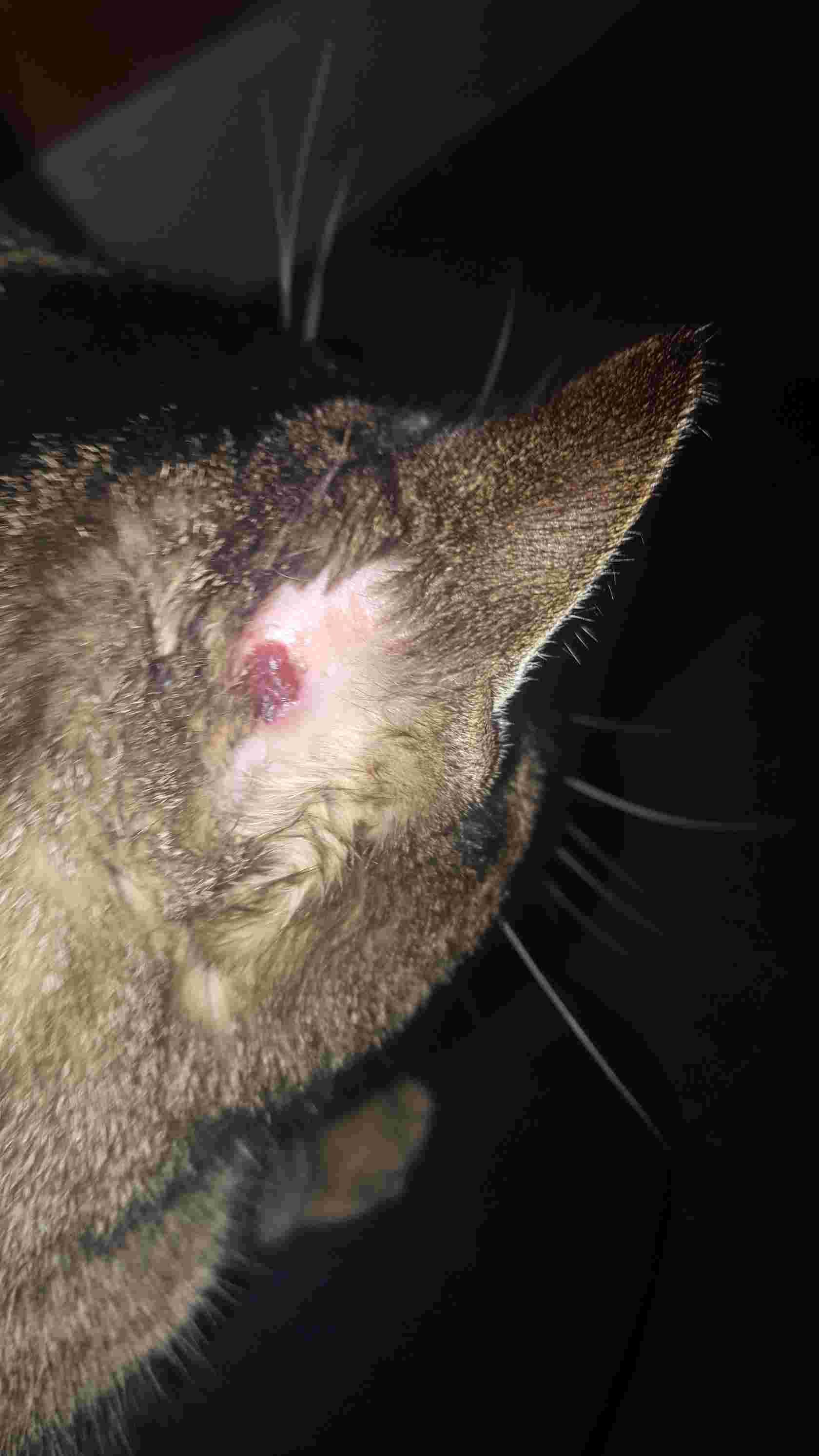 Question details sensitive content