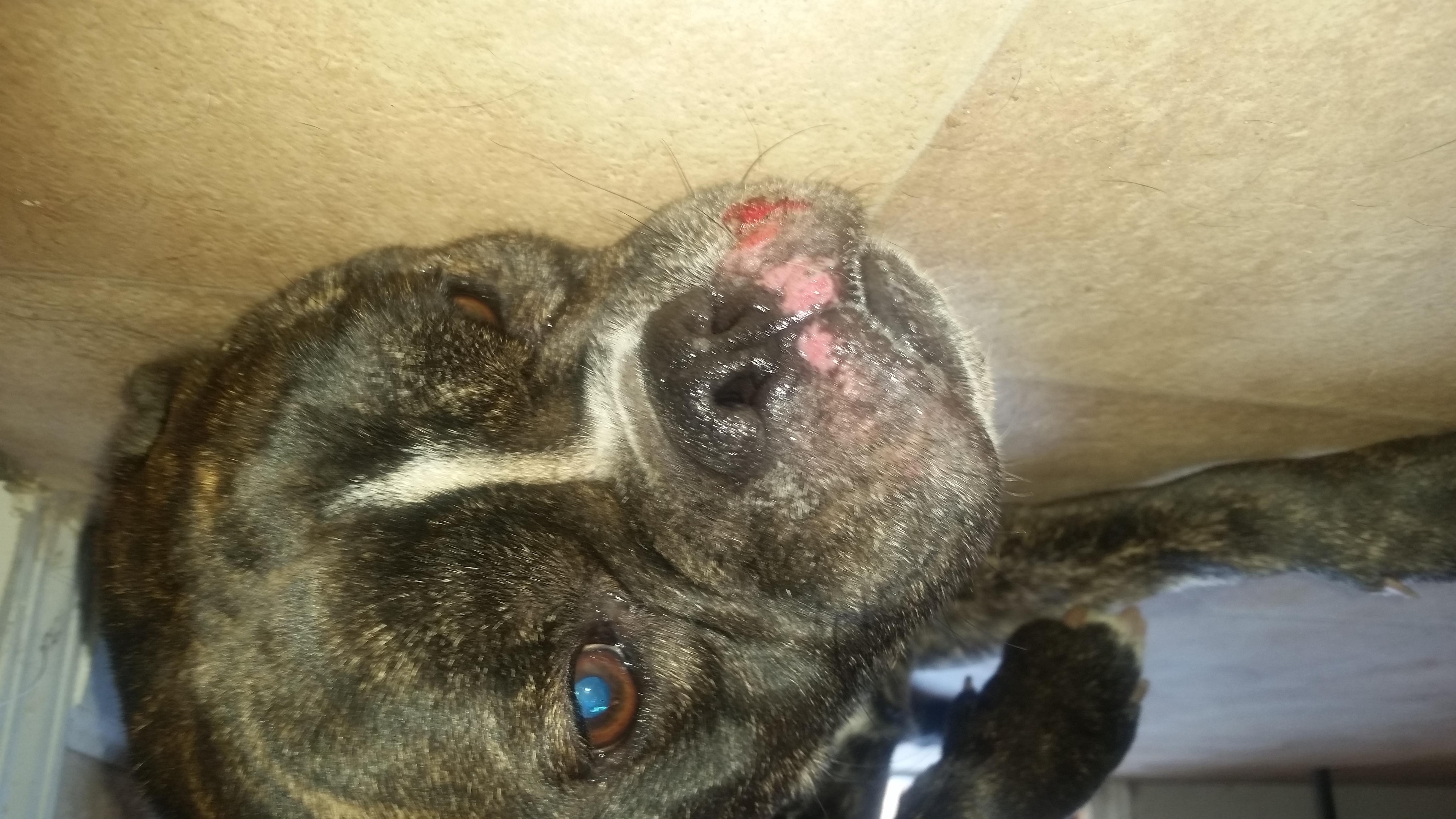 Question details sensitive content