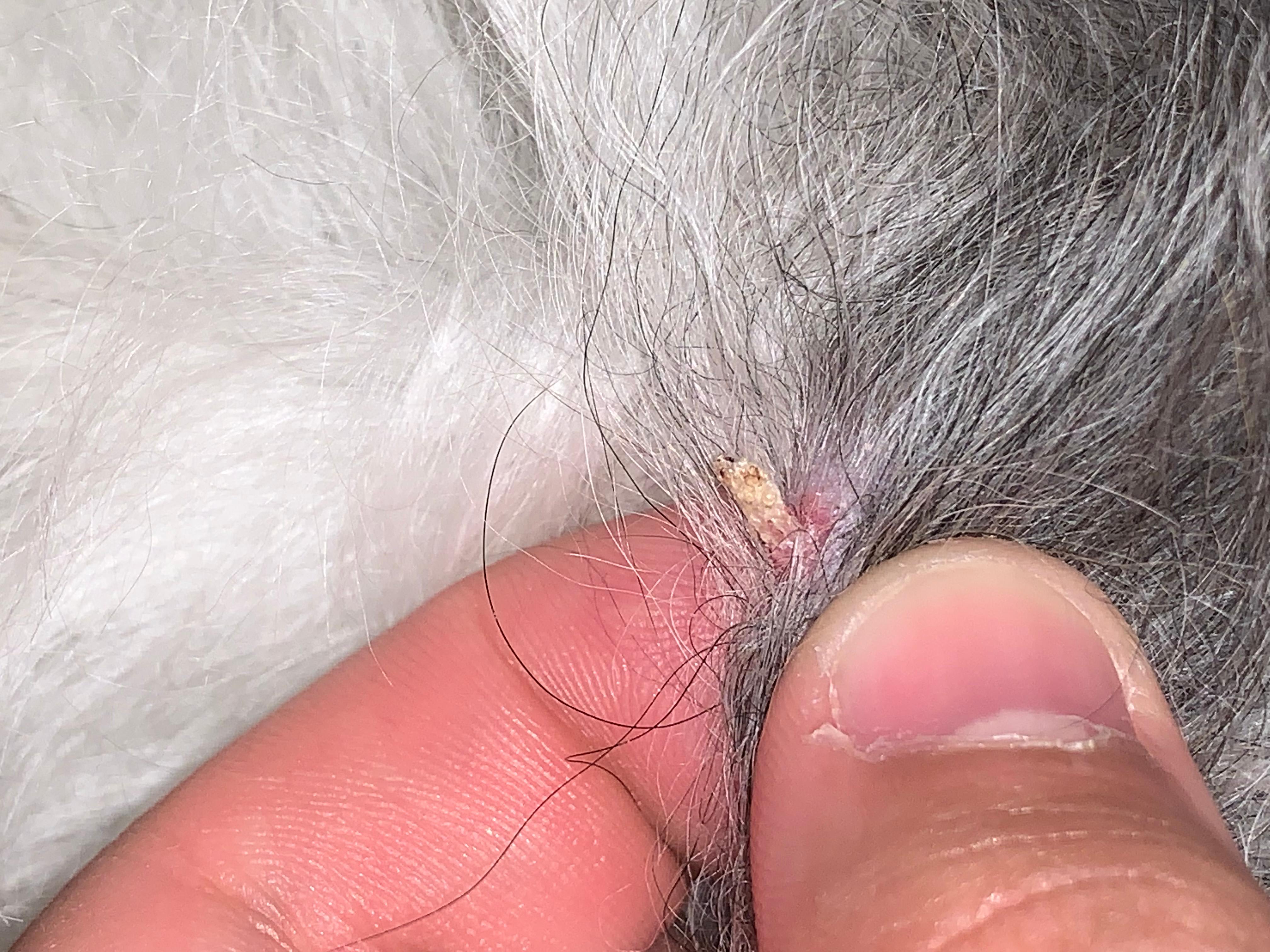 Question details sensitive content