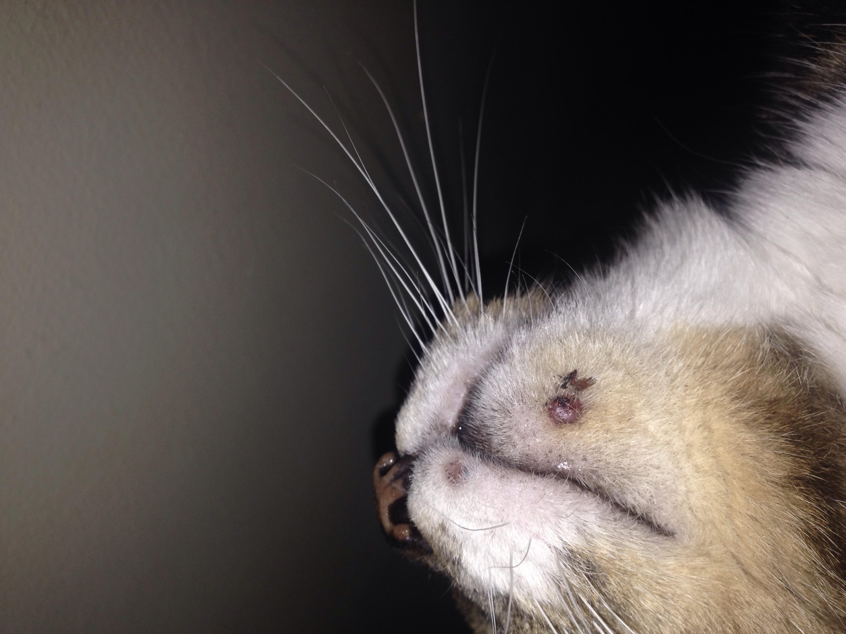 Question details sensitive content