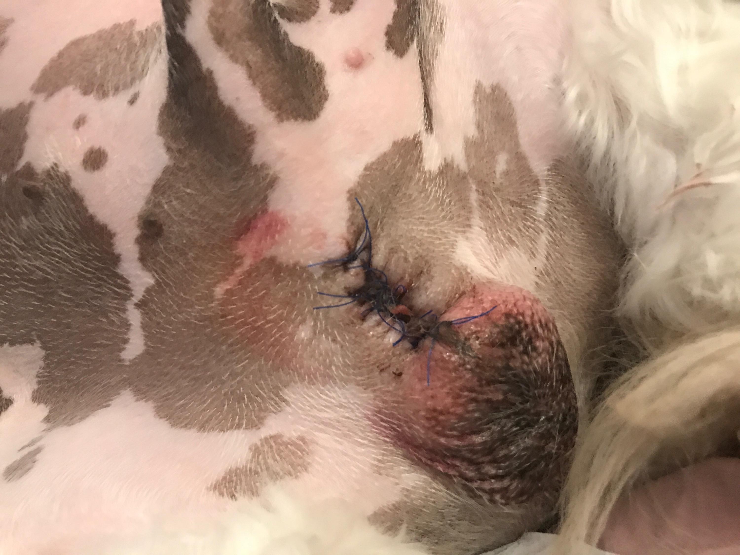 Question details sensitive content